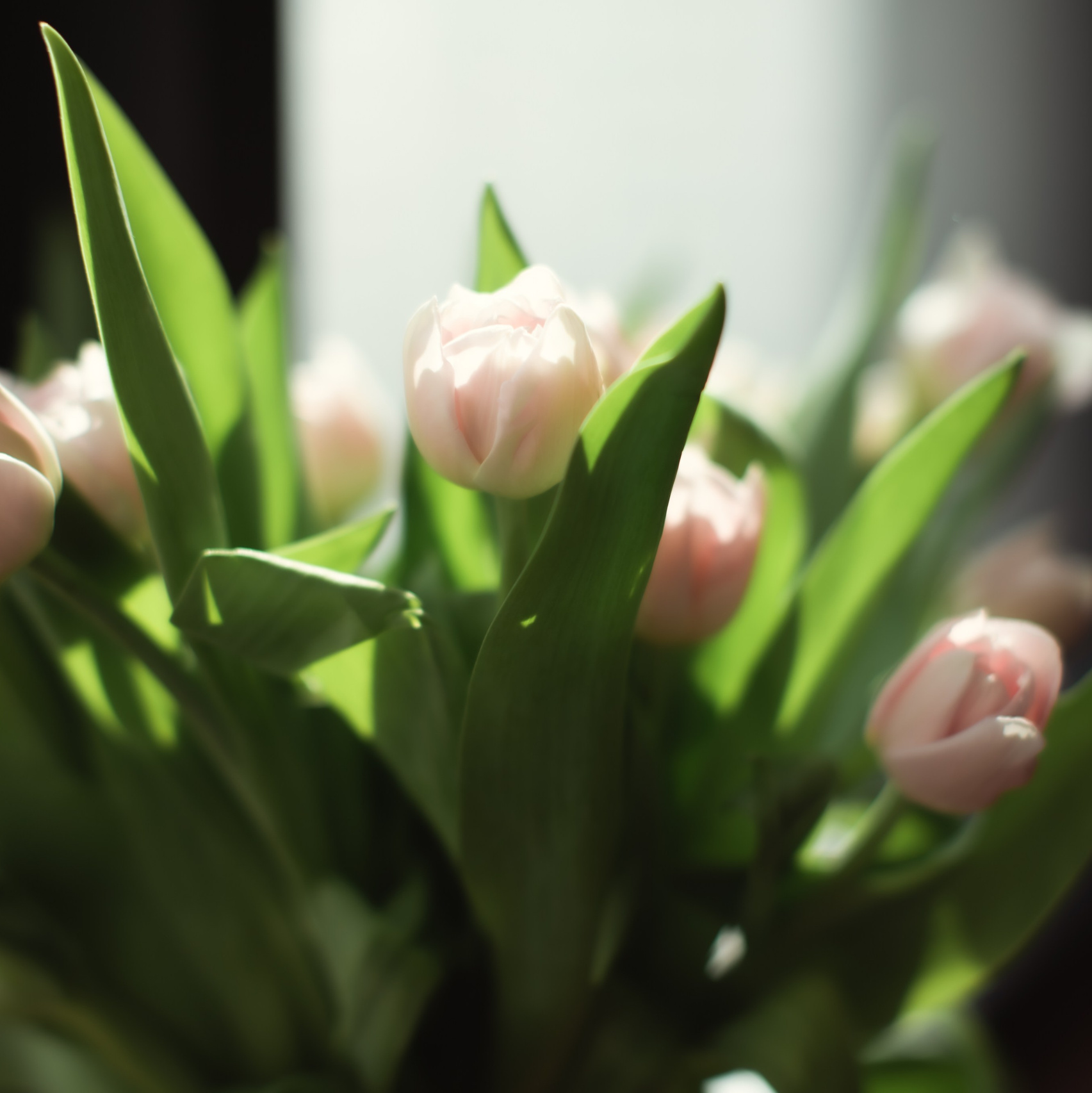 Услуги. In.Love.With.You.Photo — фотограф Анастасия Сошенкова