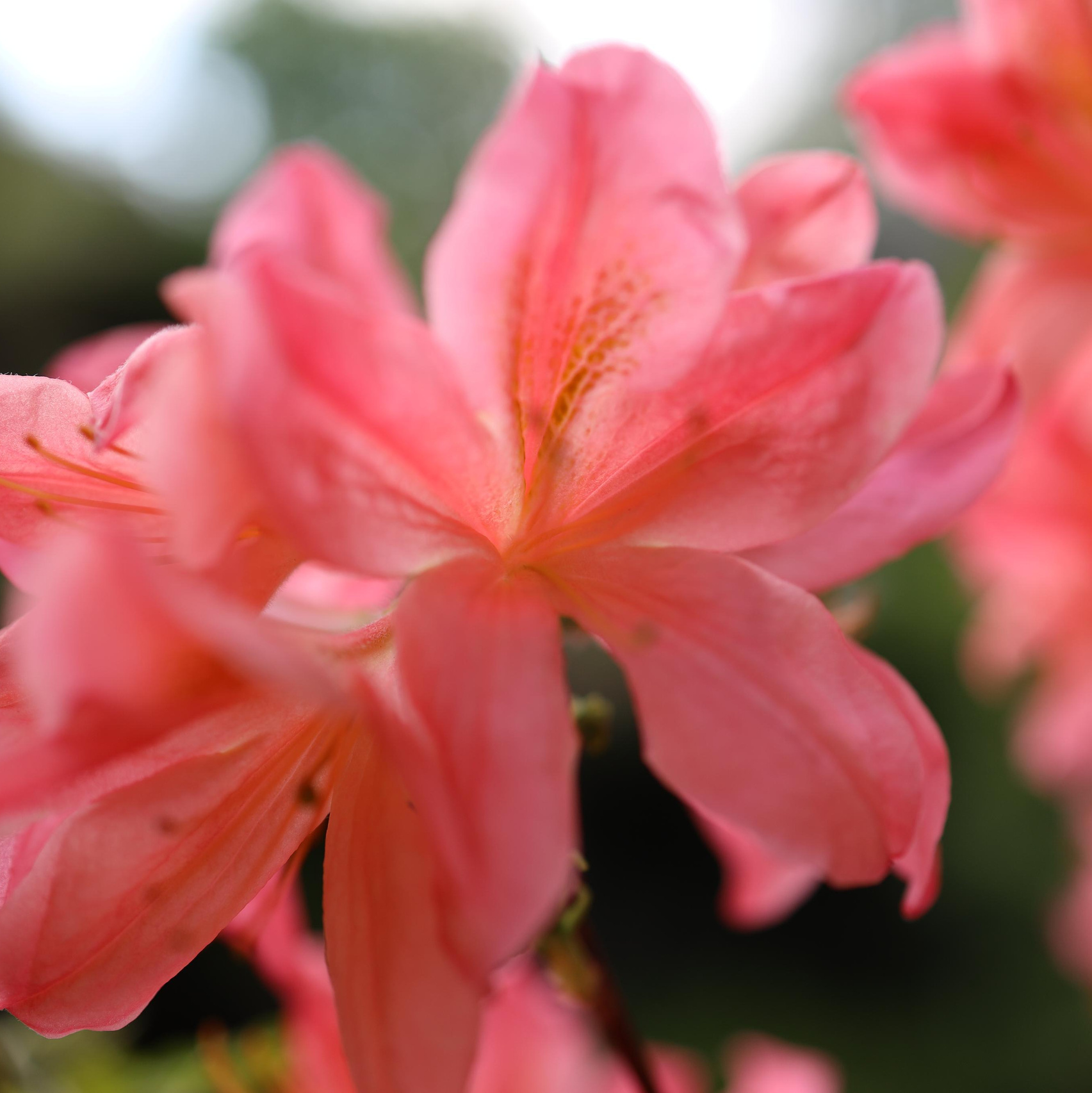Стоимость услуг. Профессиональные фотосессии в Москве| Евгения Черенкова