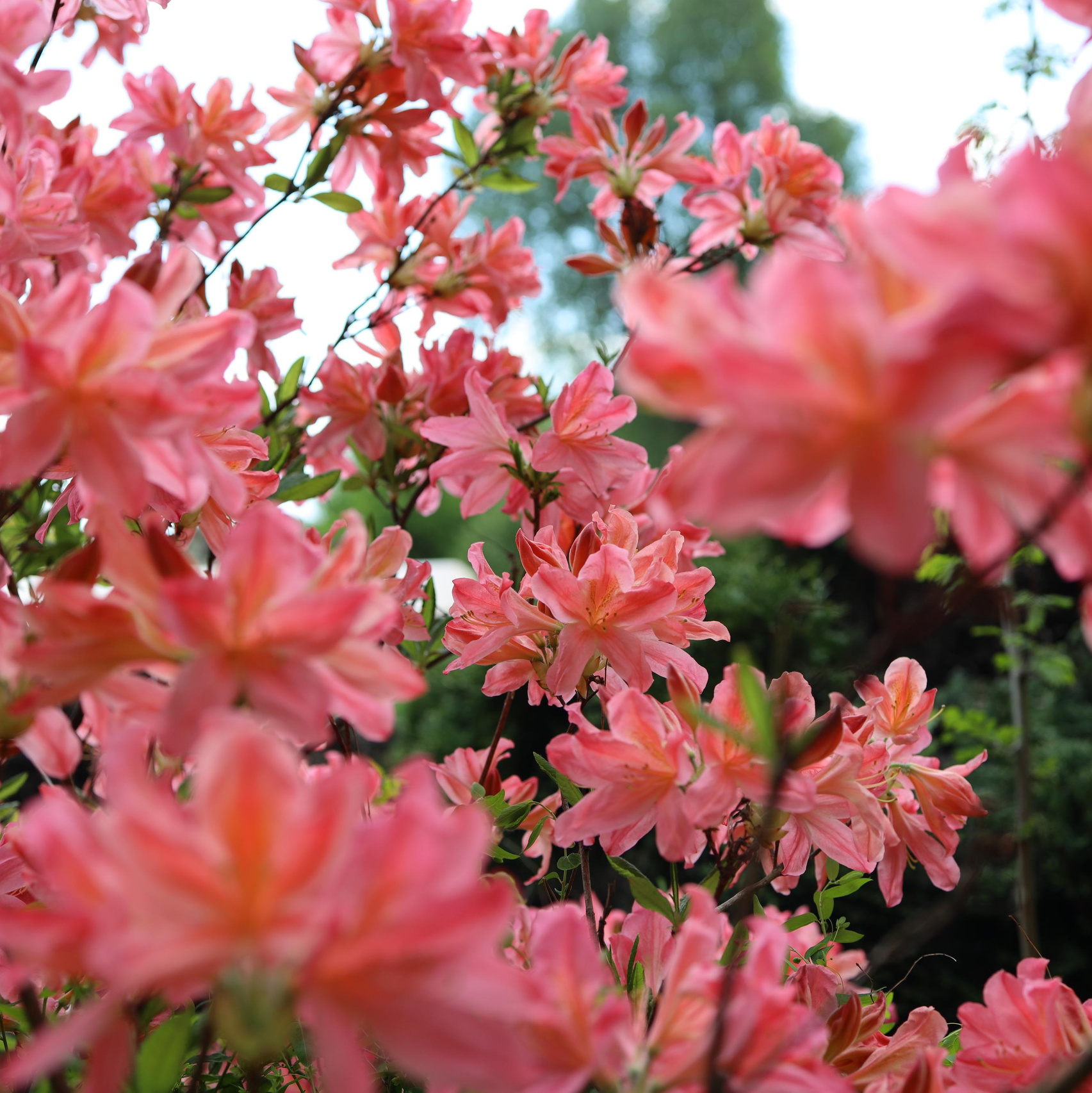 Стоимость услуг. Профессиональные фотосессии в Москве| Евгения Черенкова