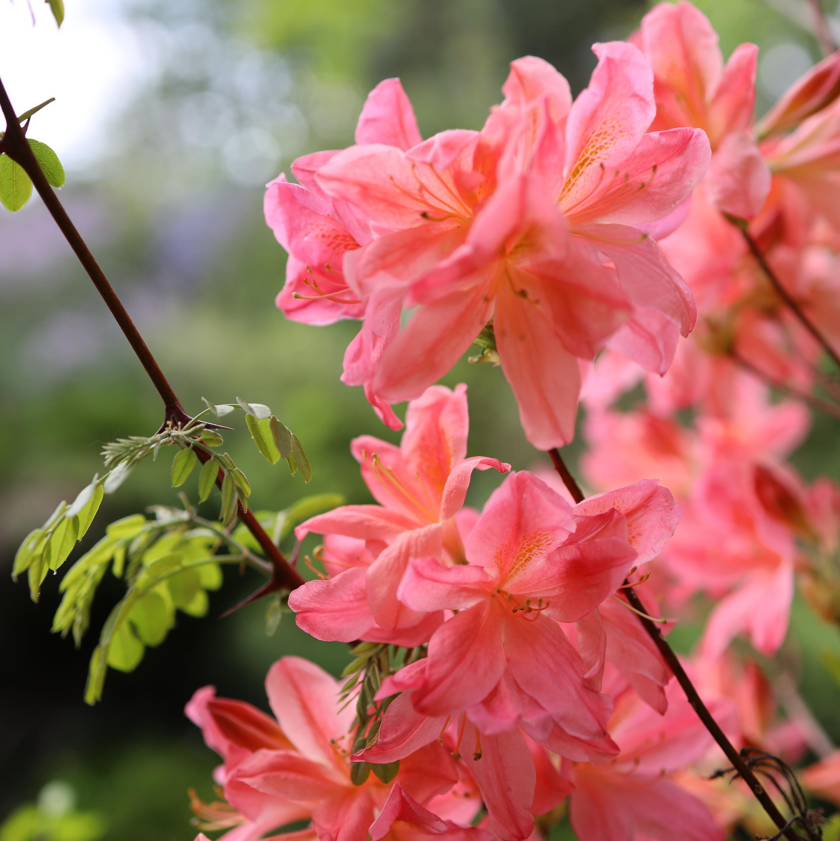 Стоимость услуг. Профессиональные фотосессии в Москве| Евгения Черенкова