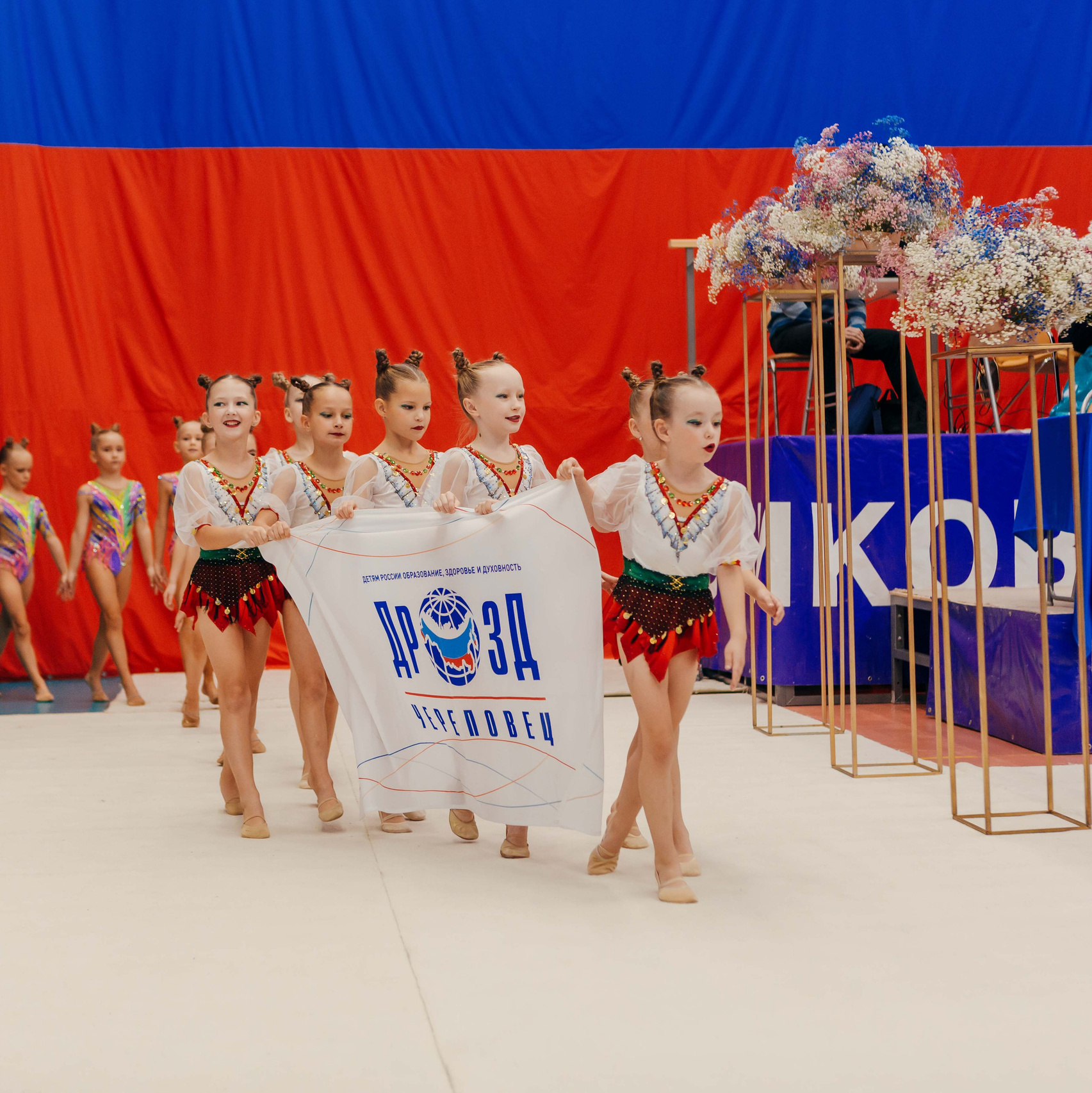 Чемпионат и Первенство России по эстетической гимнастике. Ярославль. Спортивный фотограф Александр Васильев. RG и AGG