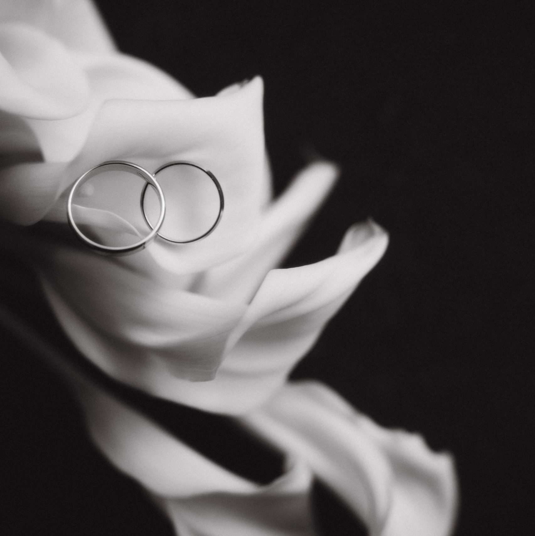 Обо мне. Семейный и свадебный фотограф в Москве Оксана Гапеева