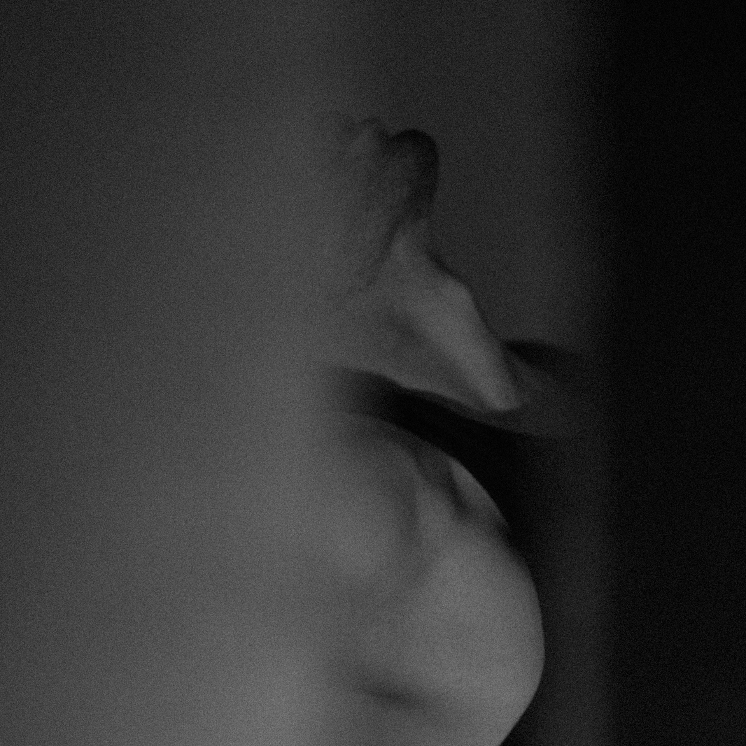 Услуги. ВИДЕОСЪЕМКА И ФОТОСЪЕМКА МОСКВА