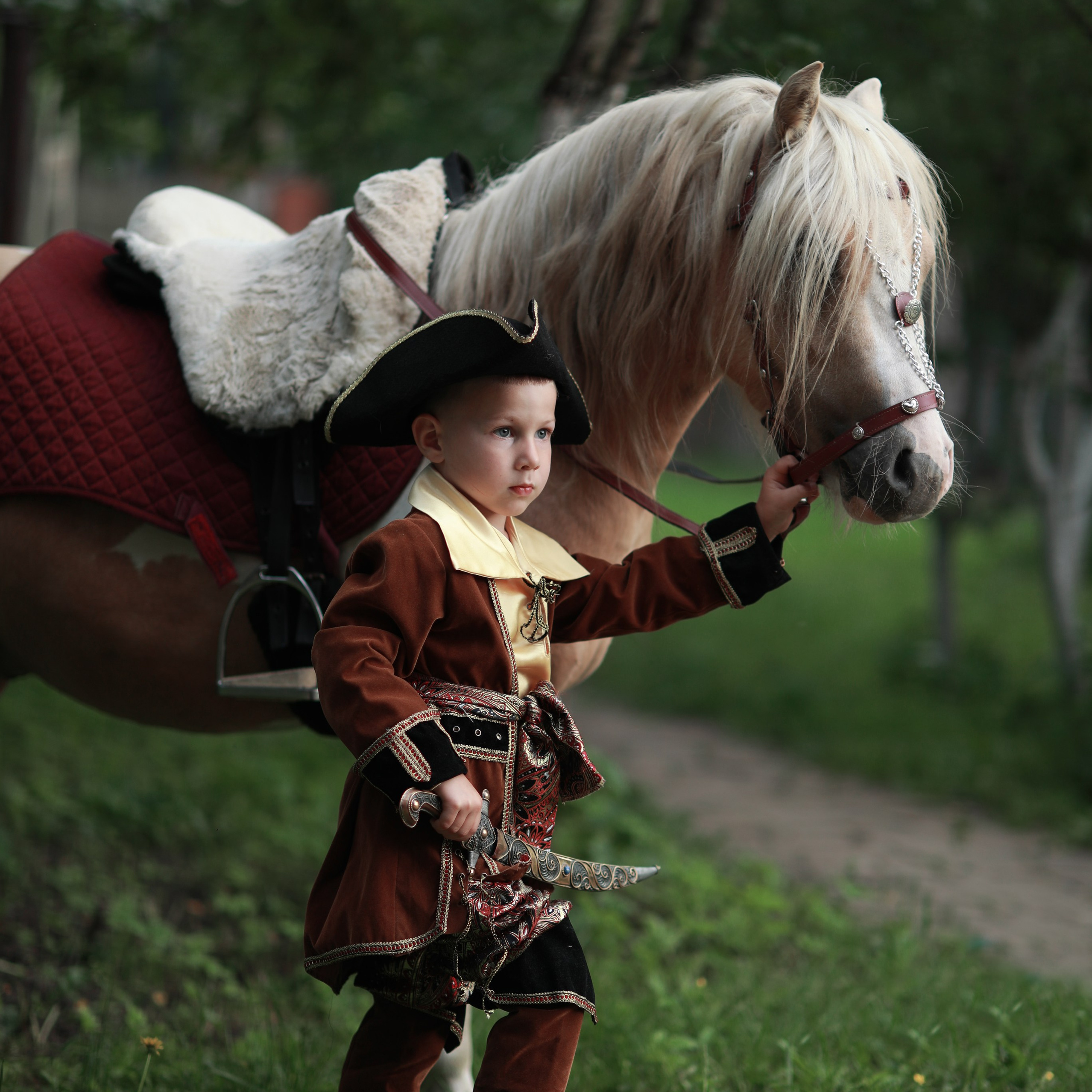 Услуги. Фотосессия с лошадьми