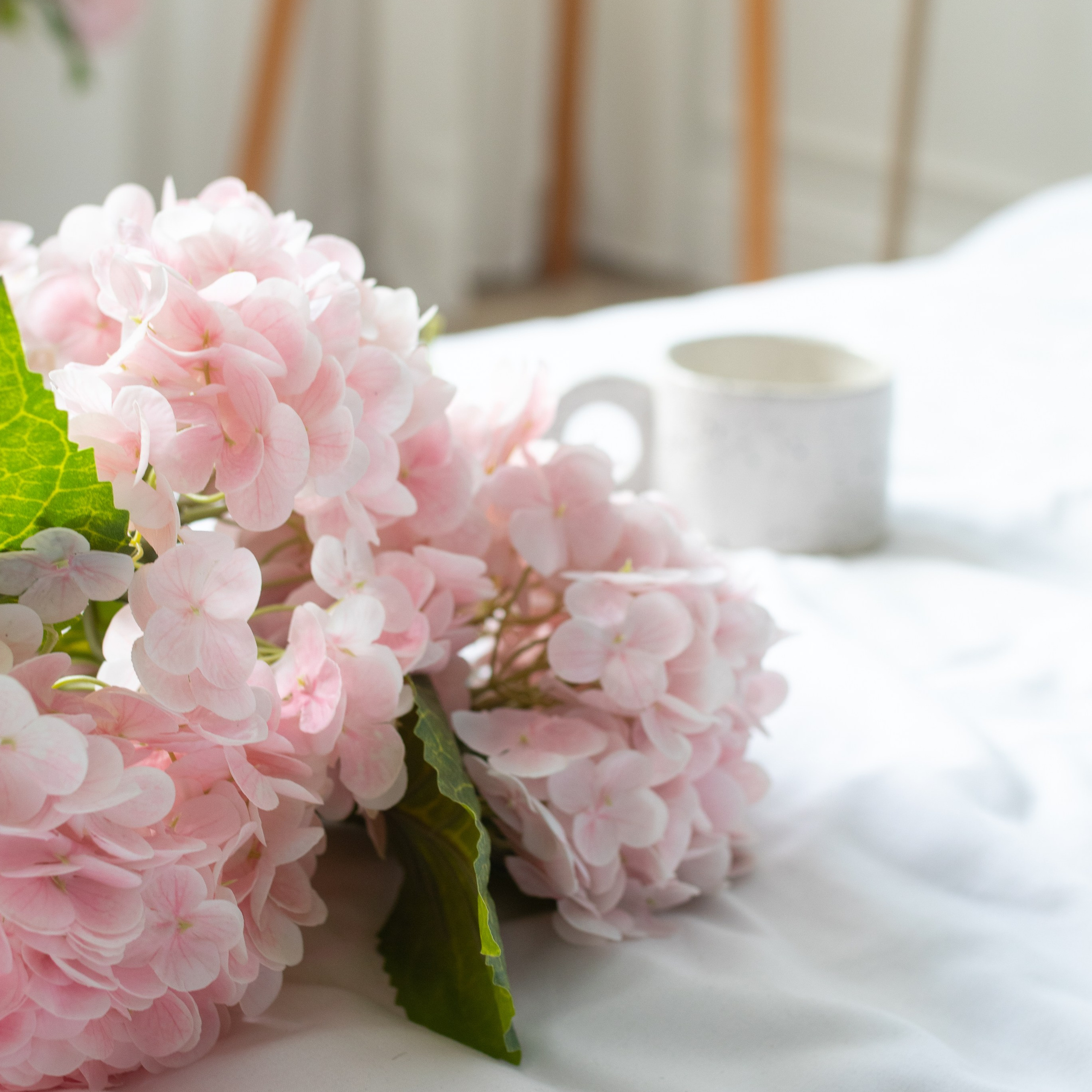 Канал "О Сотрудничестве с брендами". Anushikcreates