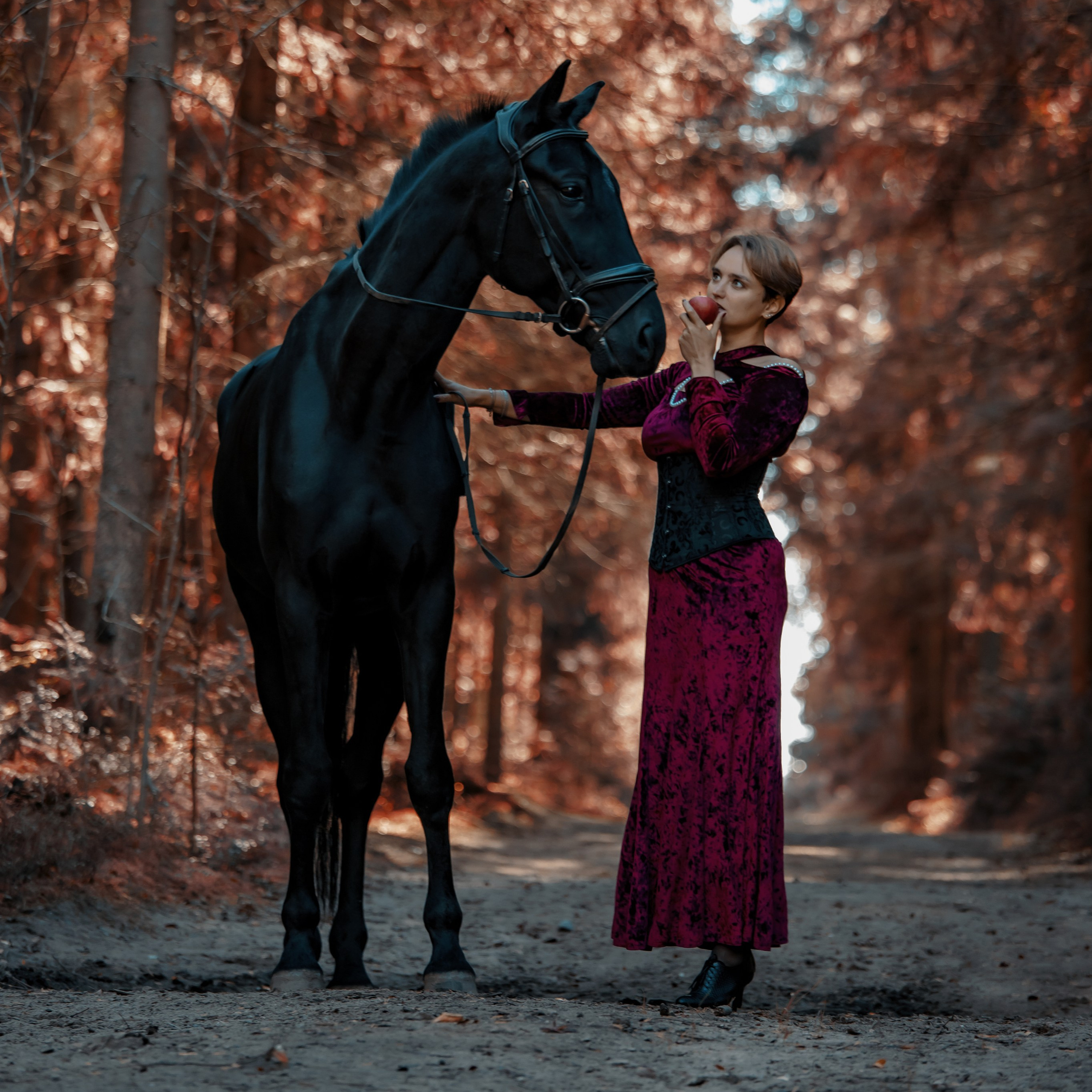 Услуги. Конный фотограф в Санкт-Петербурге Анна Лебедева