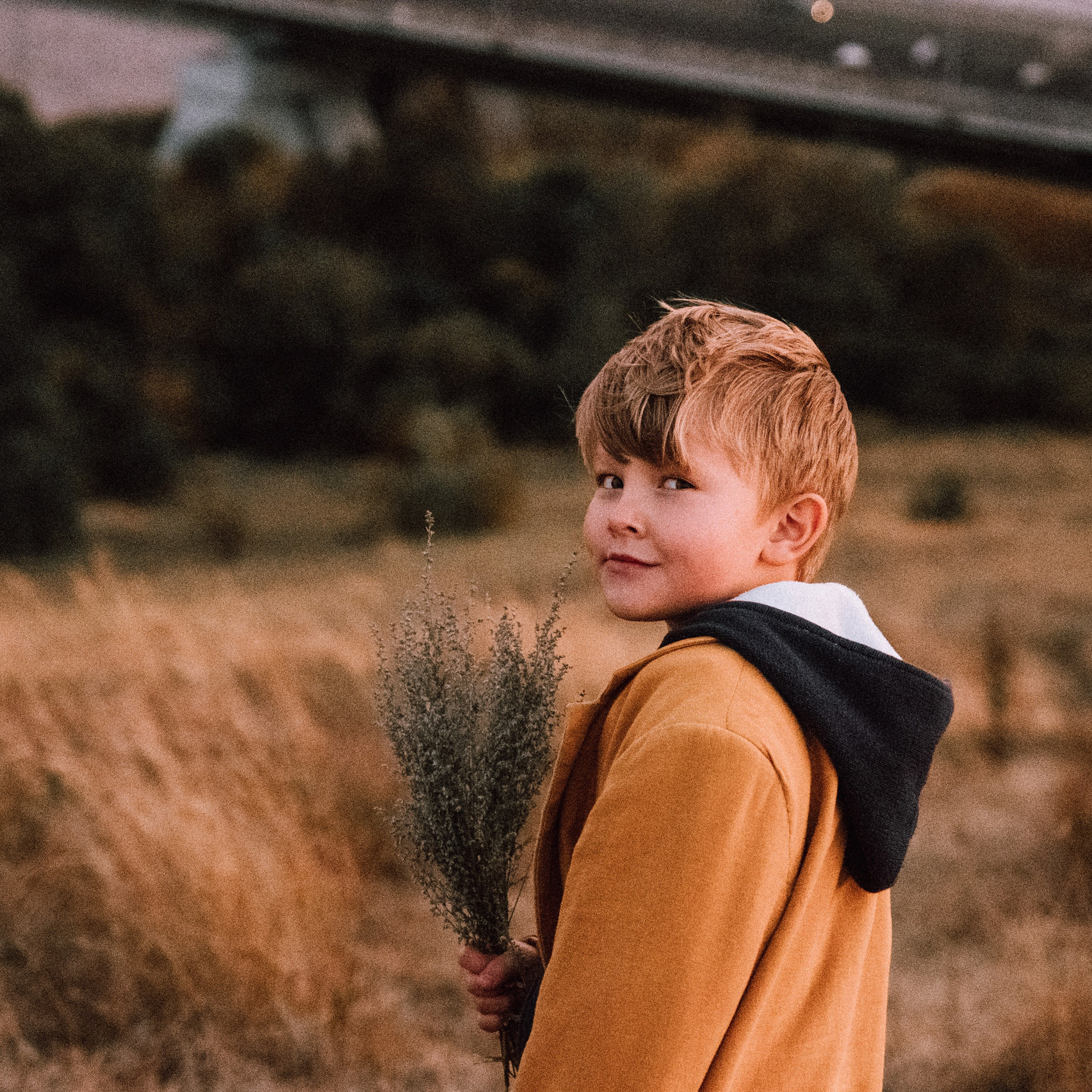Услуги. Семейный фотограф в Казани Наташа Трофимова