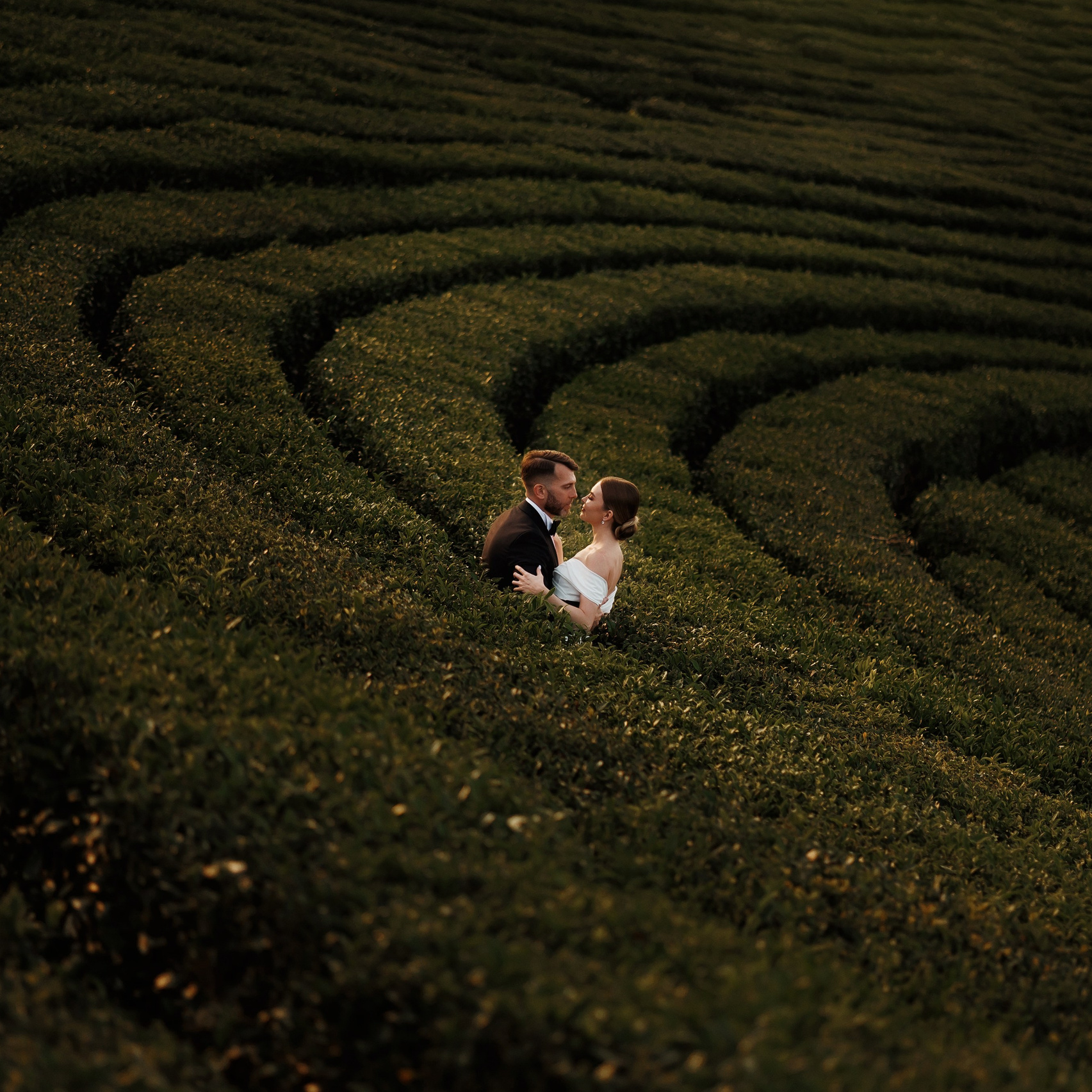 Цены на свадебную фотосъемку в Сочи / Фотограф на свадьбу. Свадебный и семейный фотограф в Сочи Денис Вялов