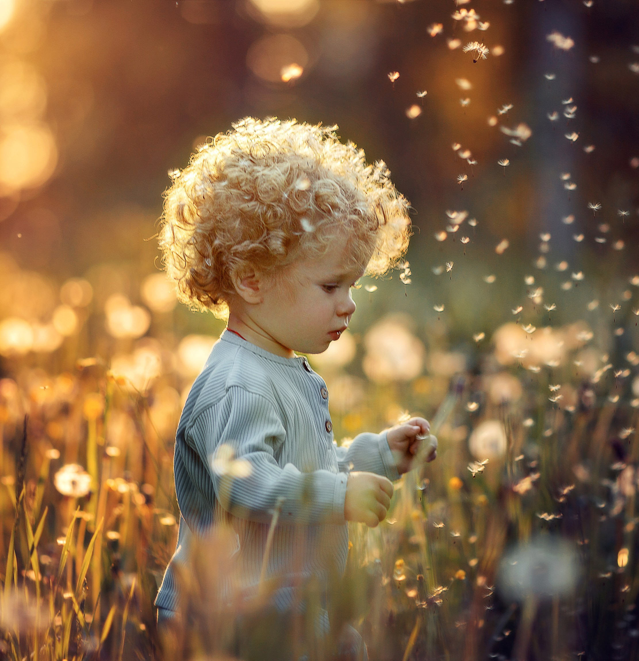 Portfolio Award 2024