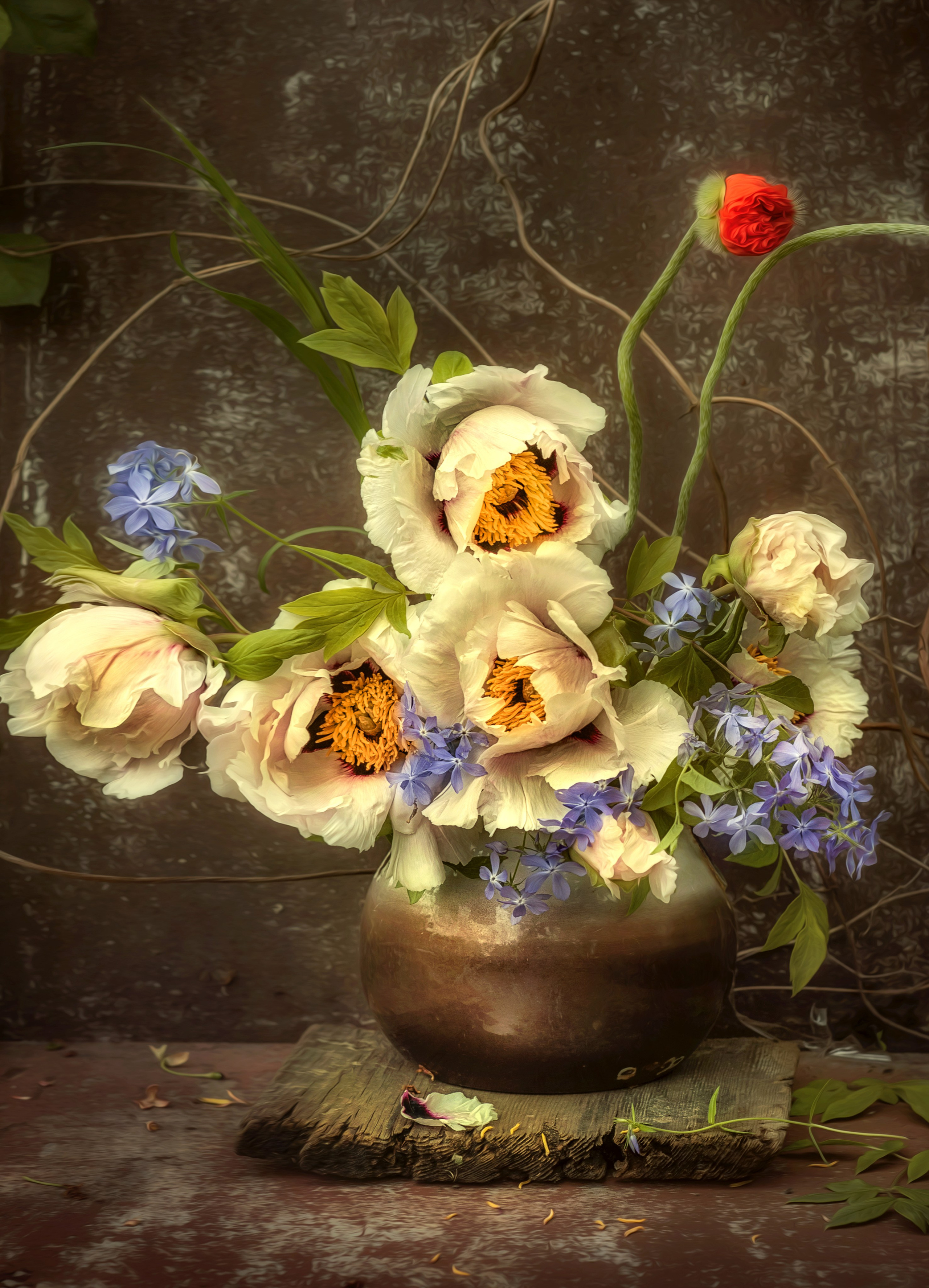 ФОТОЖИВОПИСЬ. Фотохудожник Нина Жихарева