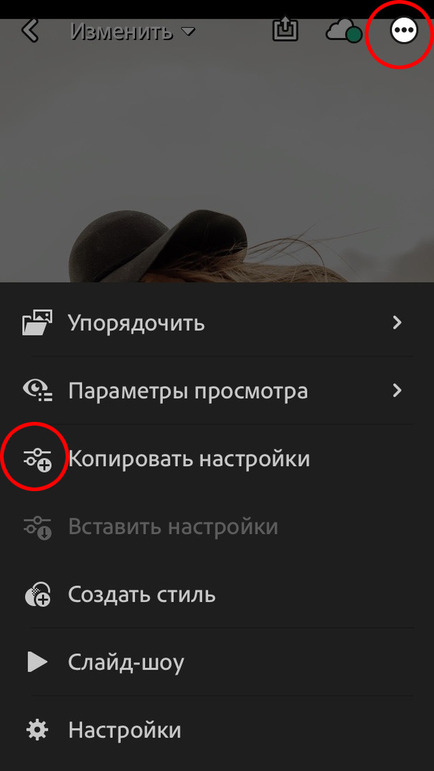 Пресеты для фотографий. Свадебный фотограф Краснодар Новороссийск Сочи Крым Данила Данилов