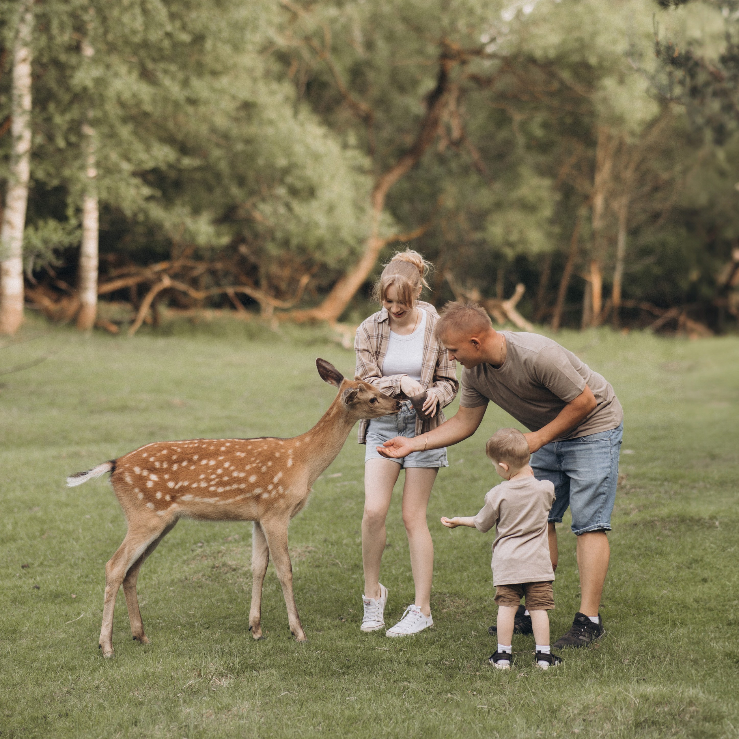 Прайс. Дарья Скворцова