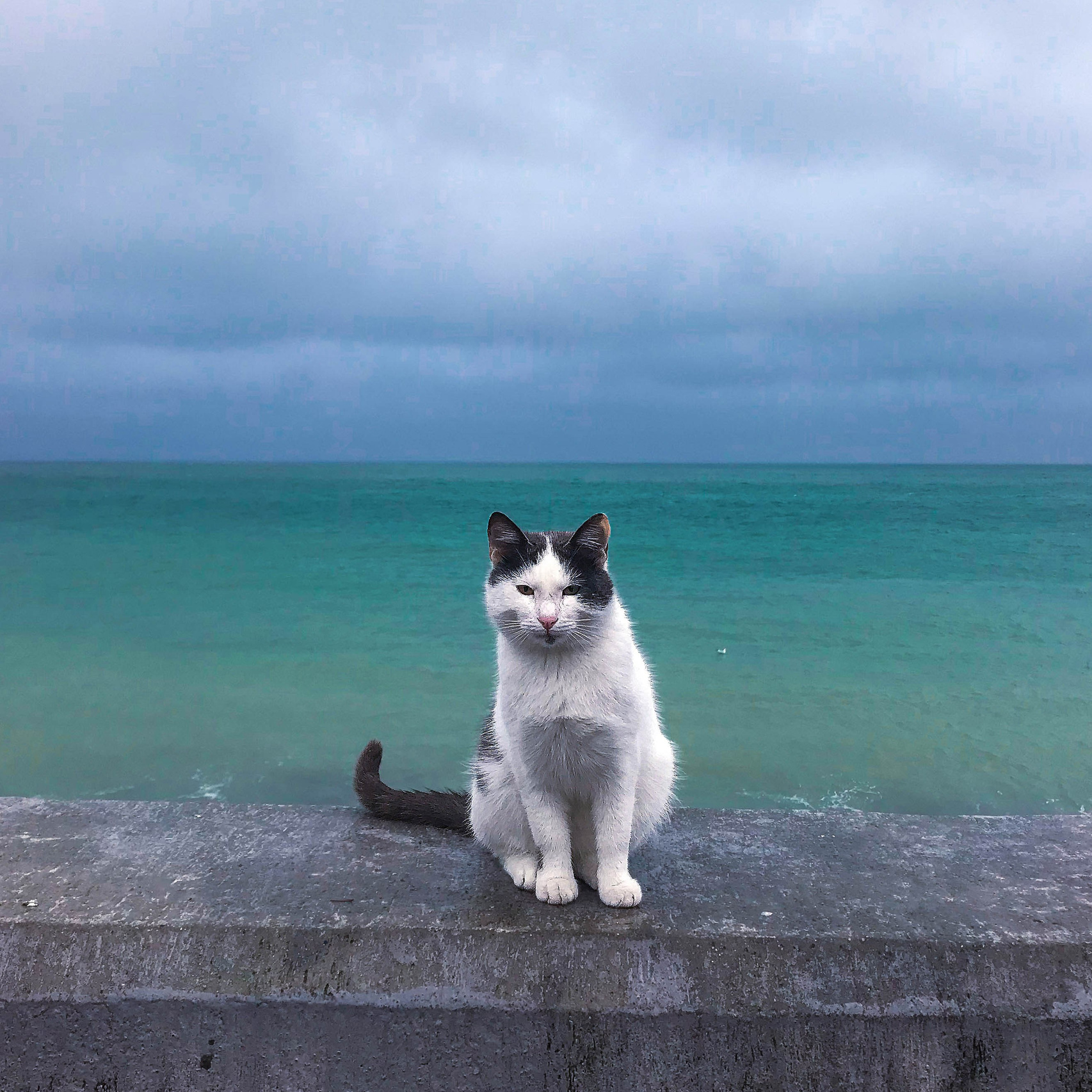 «Кадр, в который хочется вернуться». Фотовыставки serebro.gallery, в которых автором можешь стать ты! | Москва