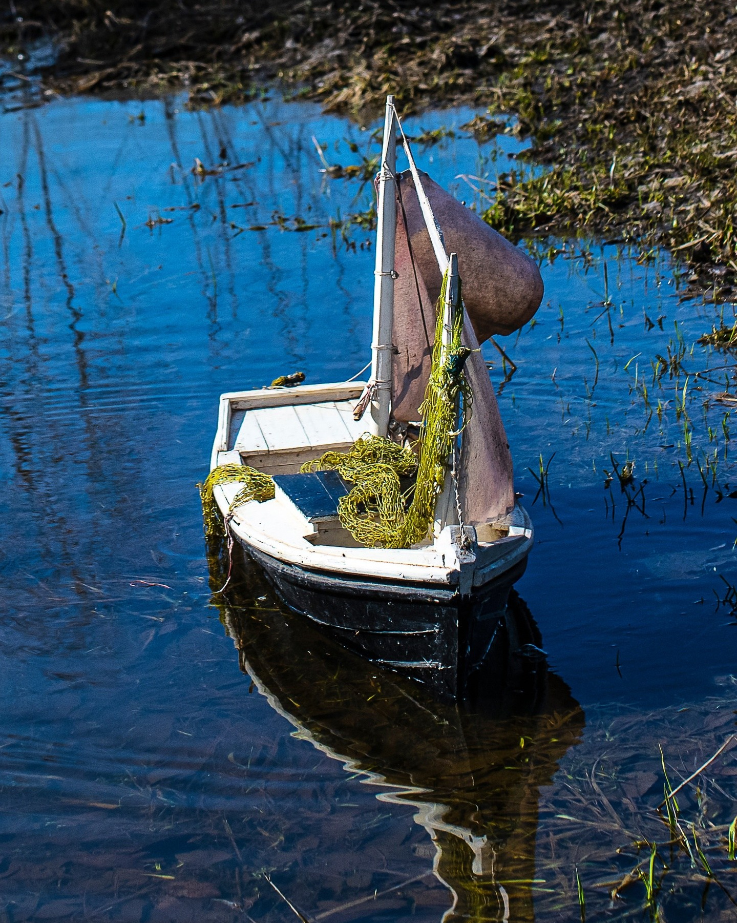 Фотографии Лены Соколовой