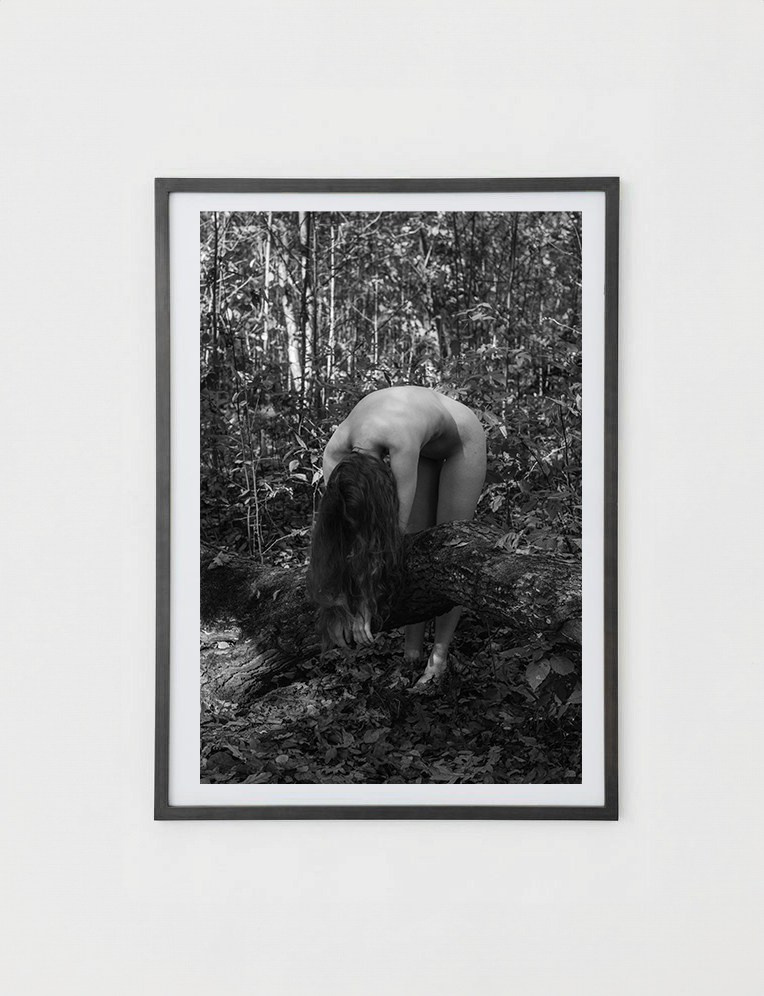 Постеры. Orliphoto_