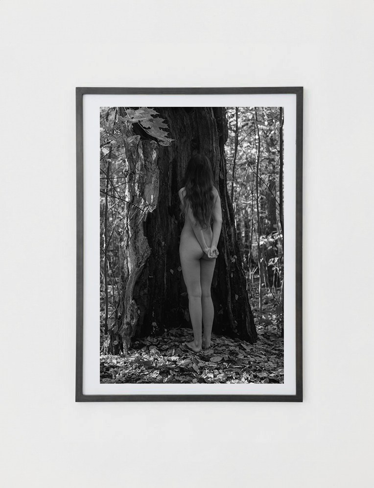 Постеры. Orliphoto_