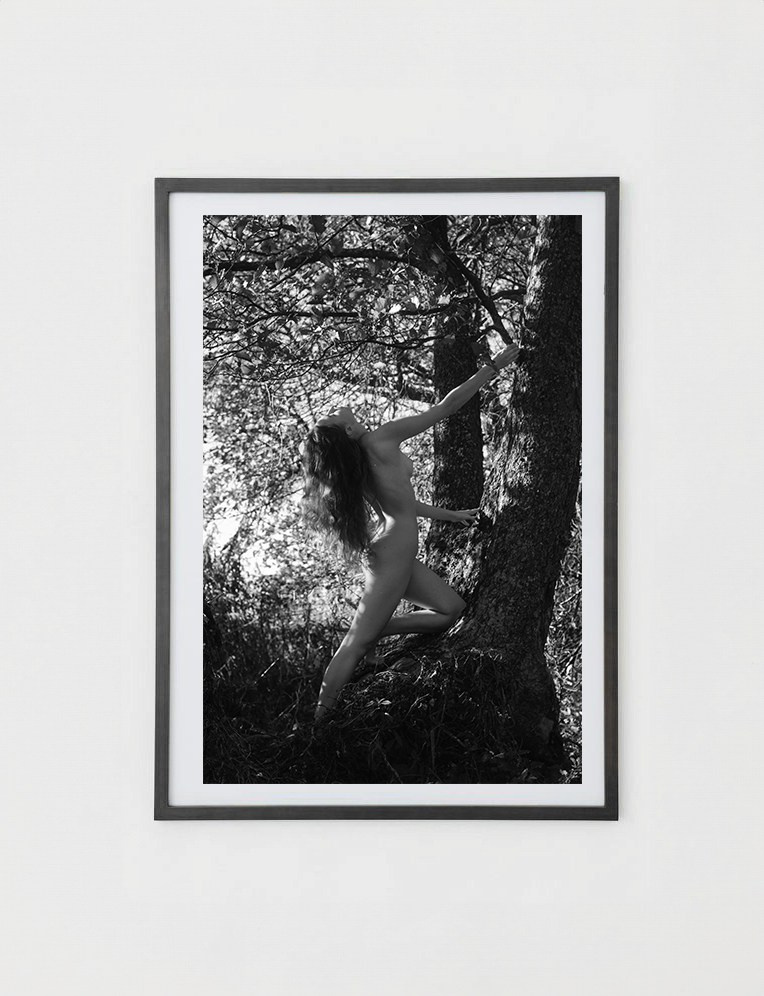 Постеры. Orliphoto_