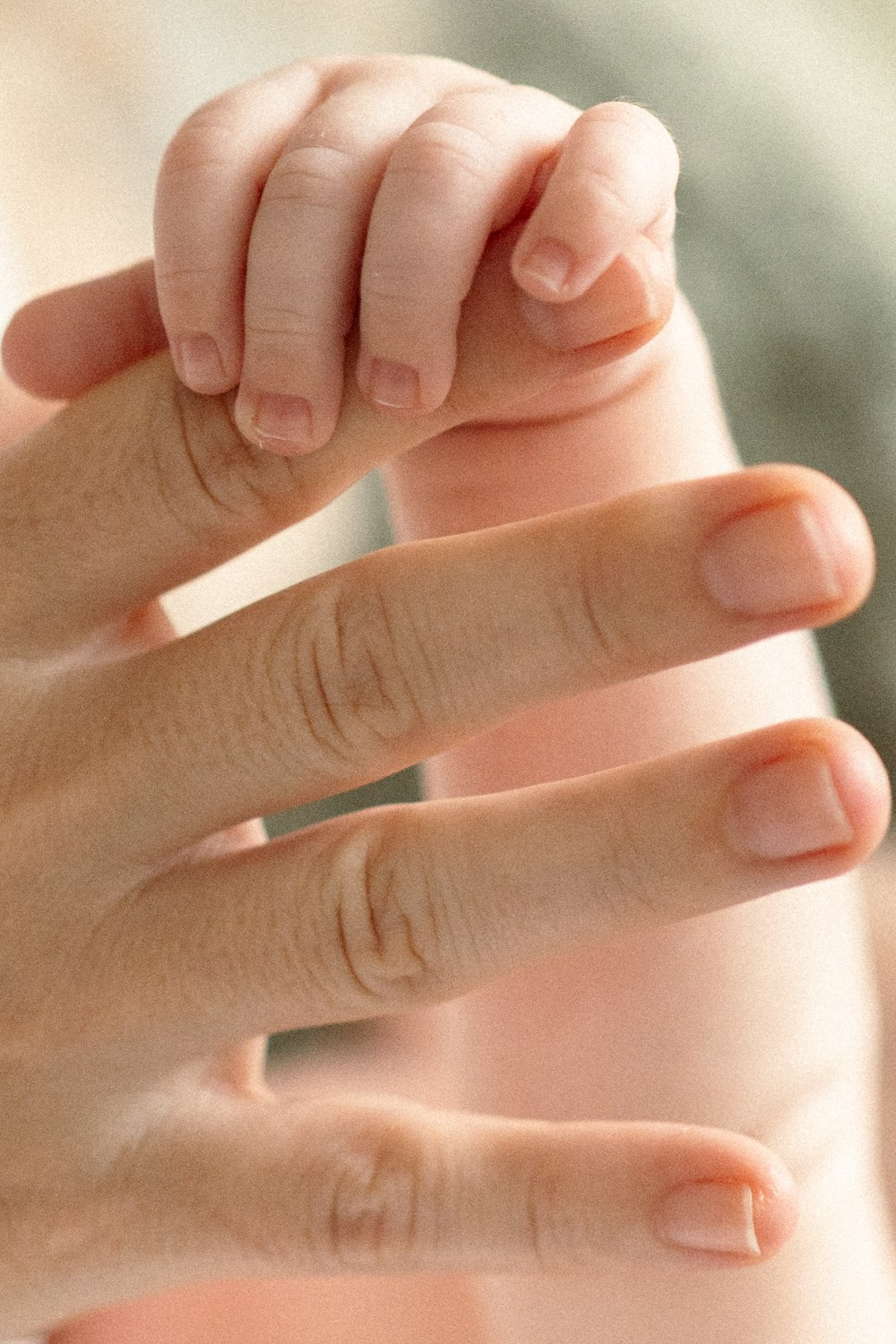 Н+М=Ариша. Света Полетаева Москва