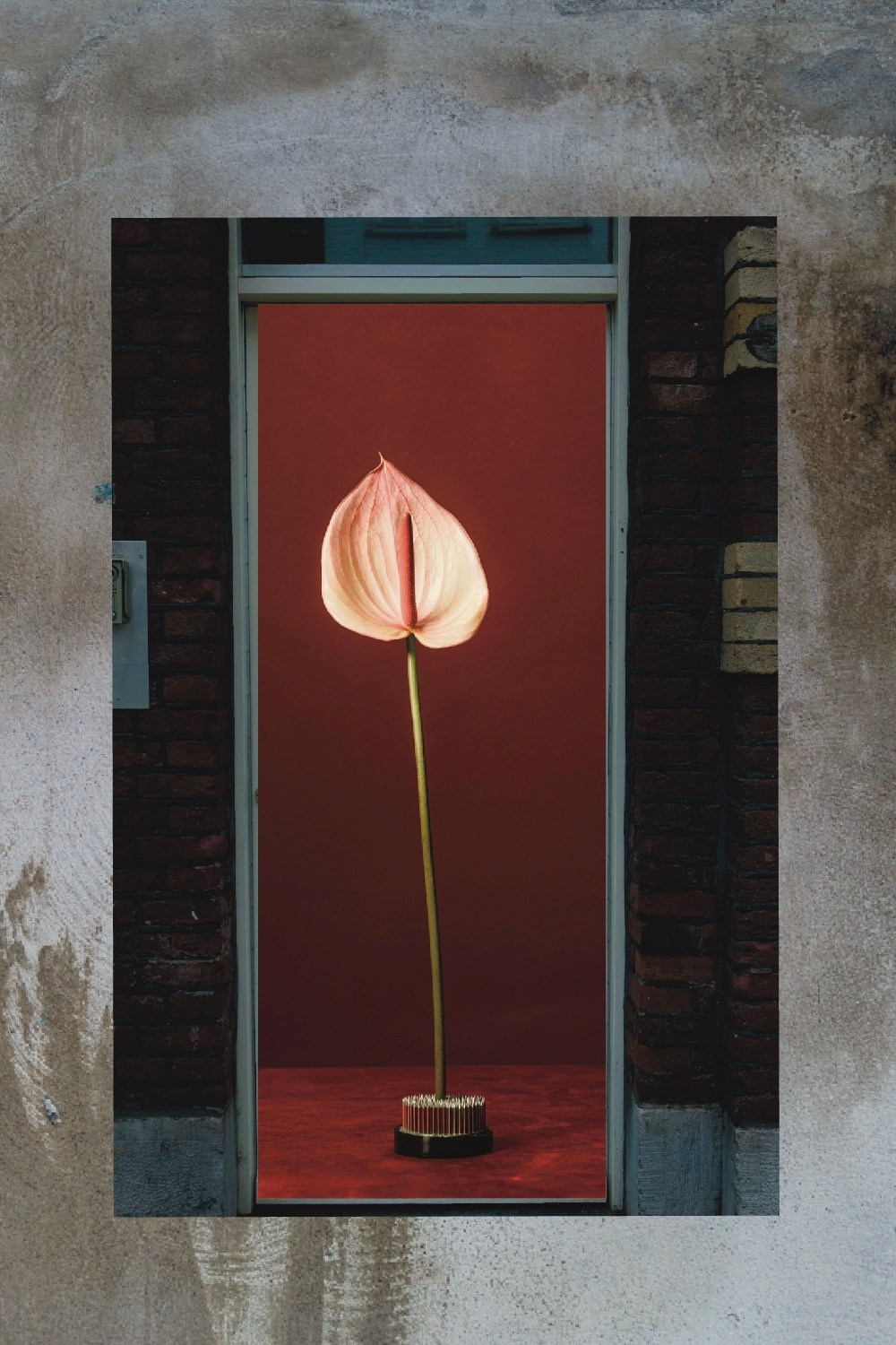 Фундамент с 20 мая по 20 июля 2025