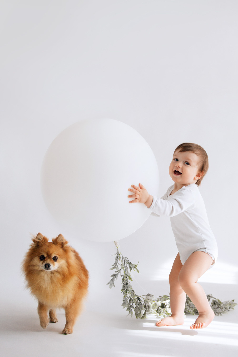 Домашние питомцы на детской фотосессии. Фотограф новорожденных Оксана Полевская