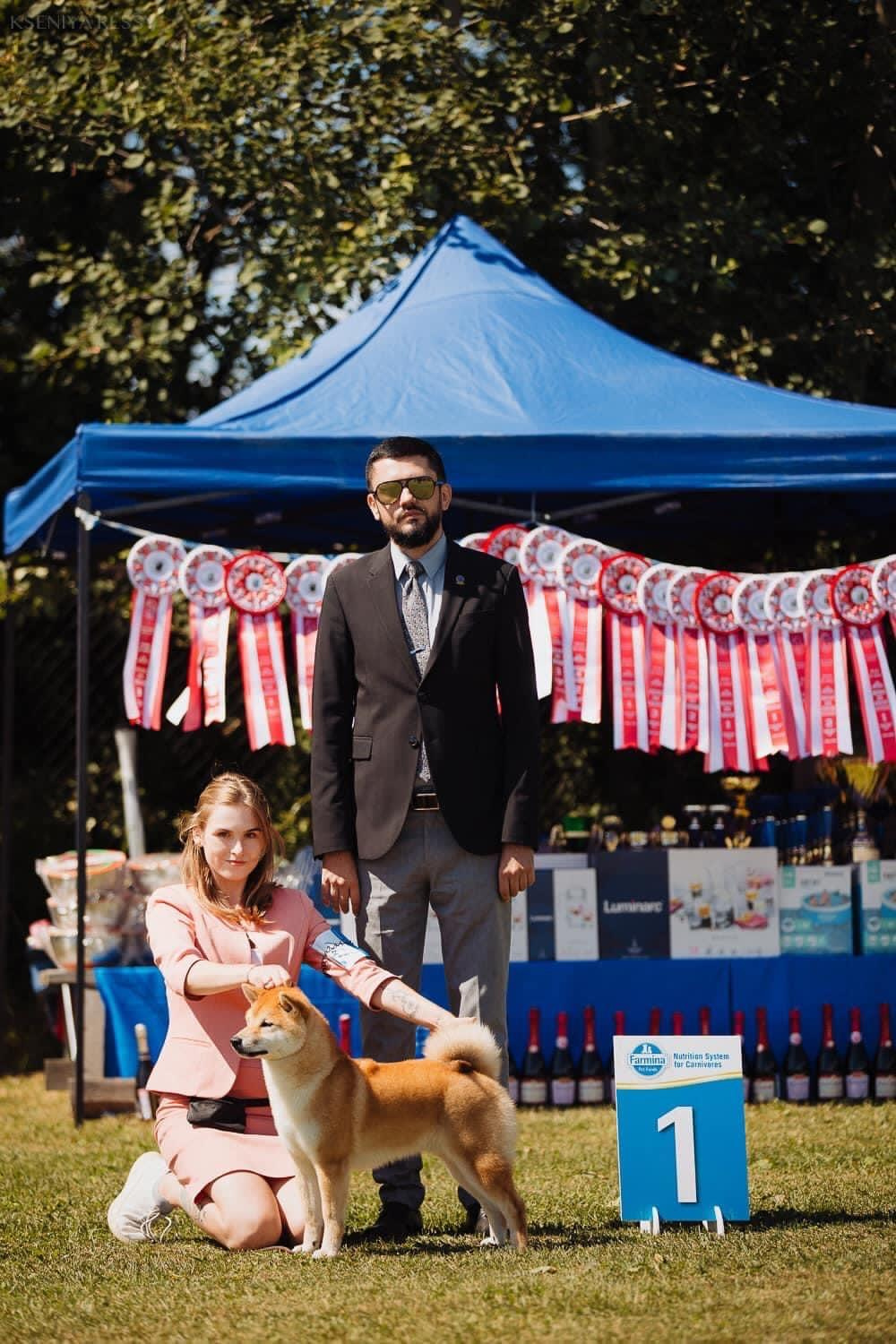 2022. SHIOMARU Shiba and Akita Inu Kennel