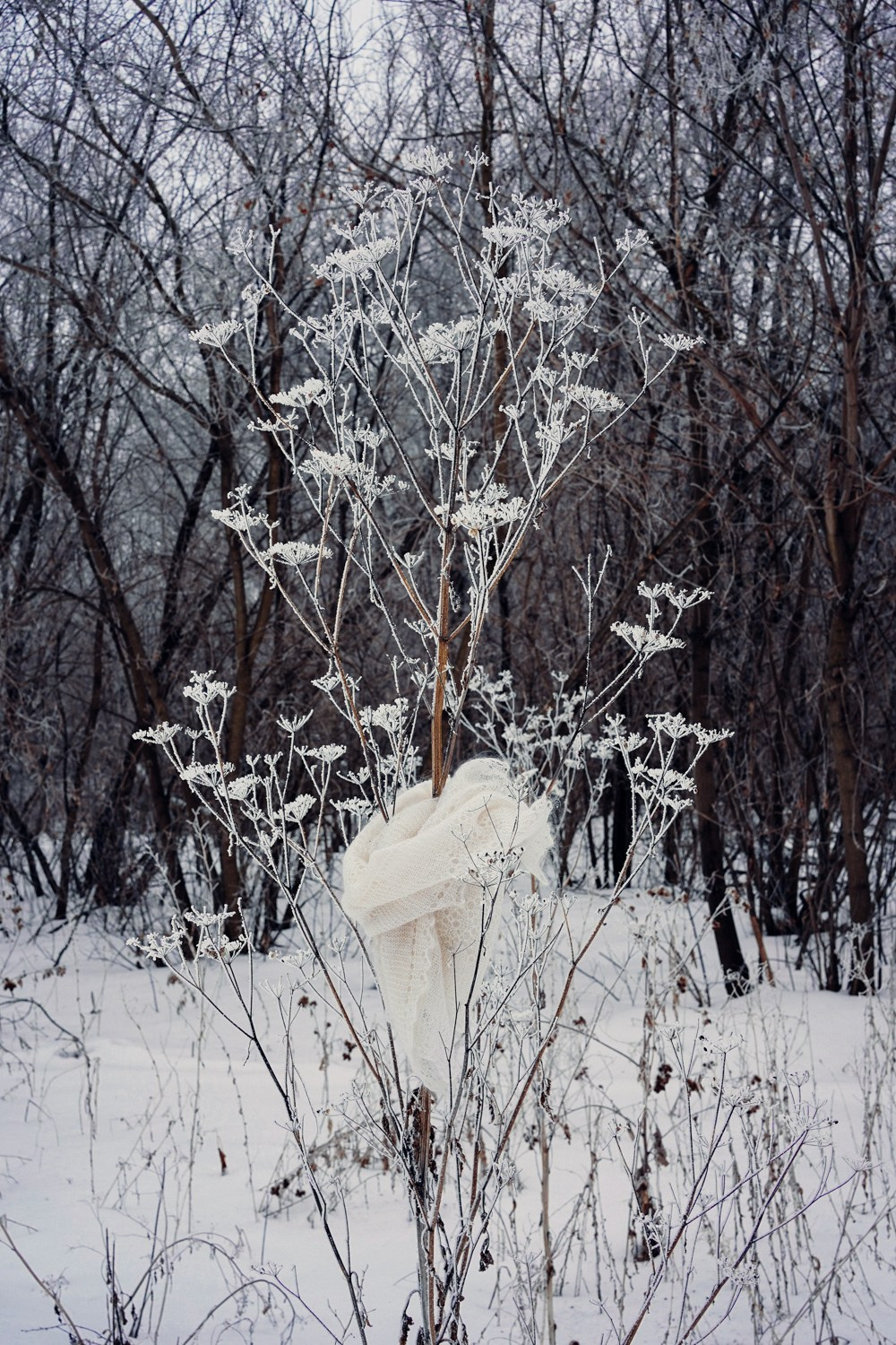 Рита Хатмуллина «Шаль». Самоорганизация Низина