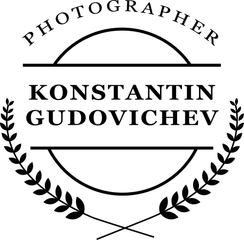 gudovichev.ru