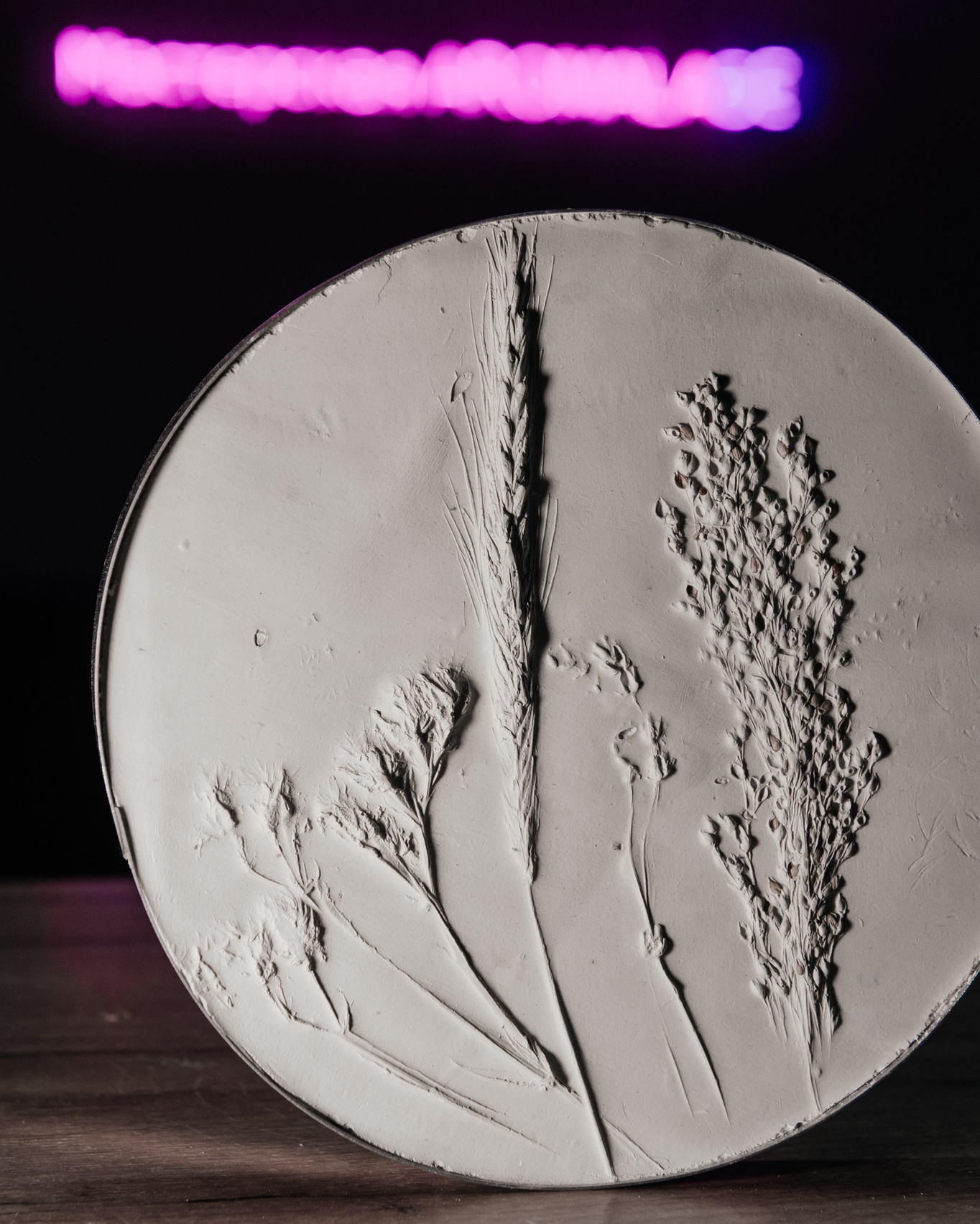 Ботанический барельеф в Казани, Нижнем Новгороде