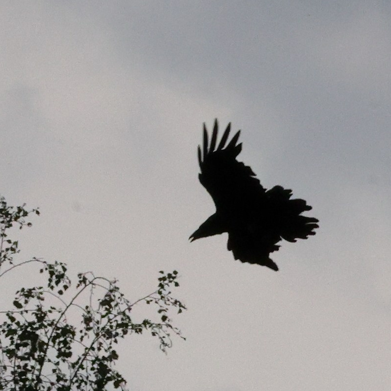 Выходные 7–8 июня