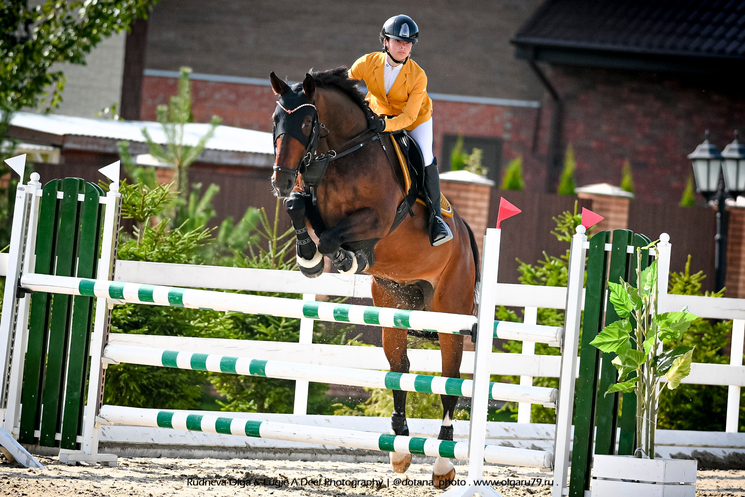 2025.08.29 — Кубок КСК «Серебряная Подкова» по конкуру. ТУРНИРНАЯ КОННАЯ ФОТОГРАФИЯ, Руднева Ольга и Евгений Адеев