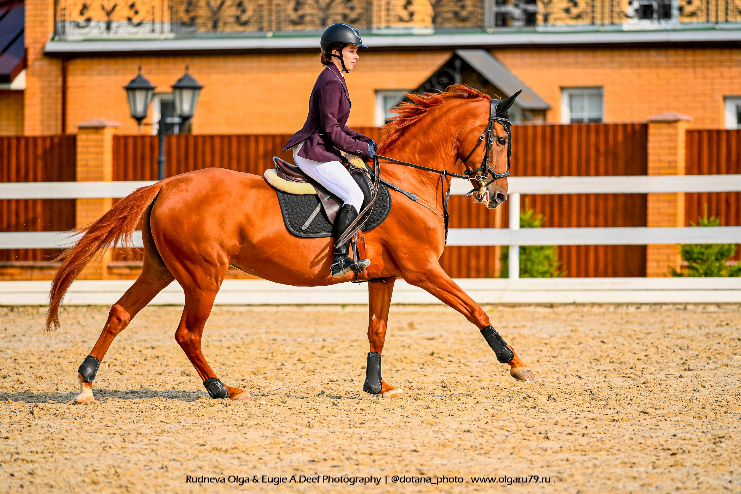2025.08.29 — Кубок КСК «Серебряная Подкова» по конкуру. ТУРНИРНАЯ КОННАЯ ФОТОГРАФИЯ, Руднева Ольга и Евгений Адеев