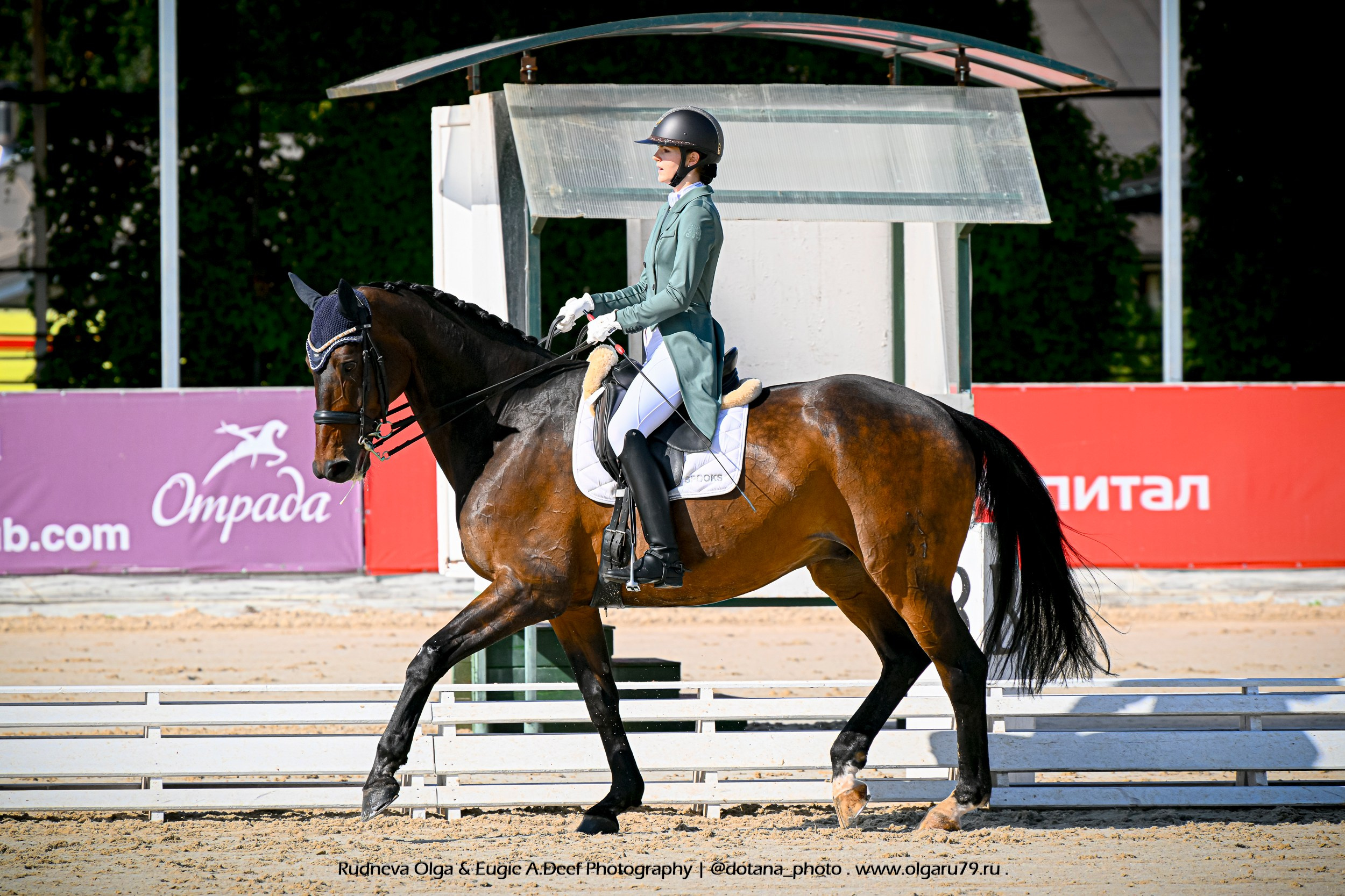2025.08.29-31 + 09.05 — ВЫЕЗДКА В КСК ОТРАДА (ВСЕРОССИЙСКИЕ И МУНИЦ). ТУРНИРНАЯ КОННАЯ ФОТОГРАФИЯ, Руднева Ольга и Евгений Адеев