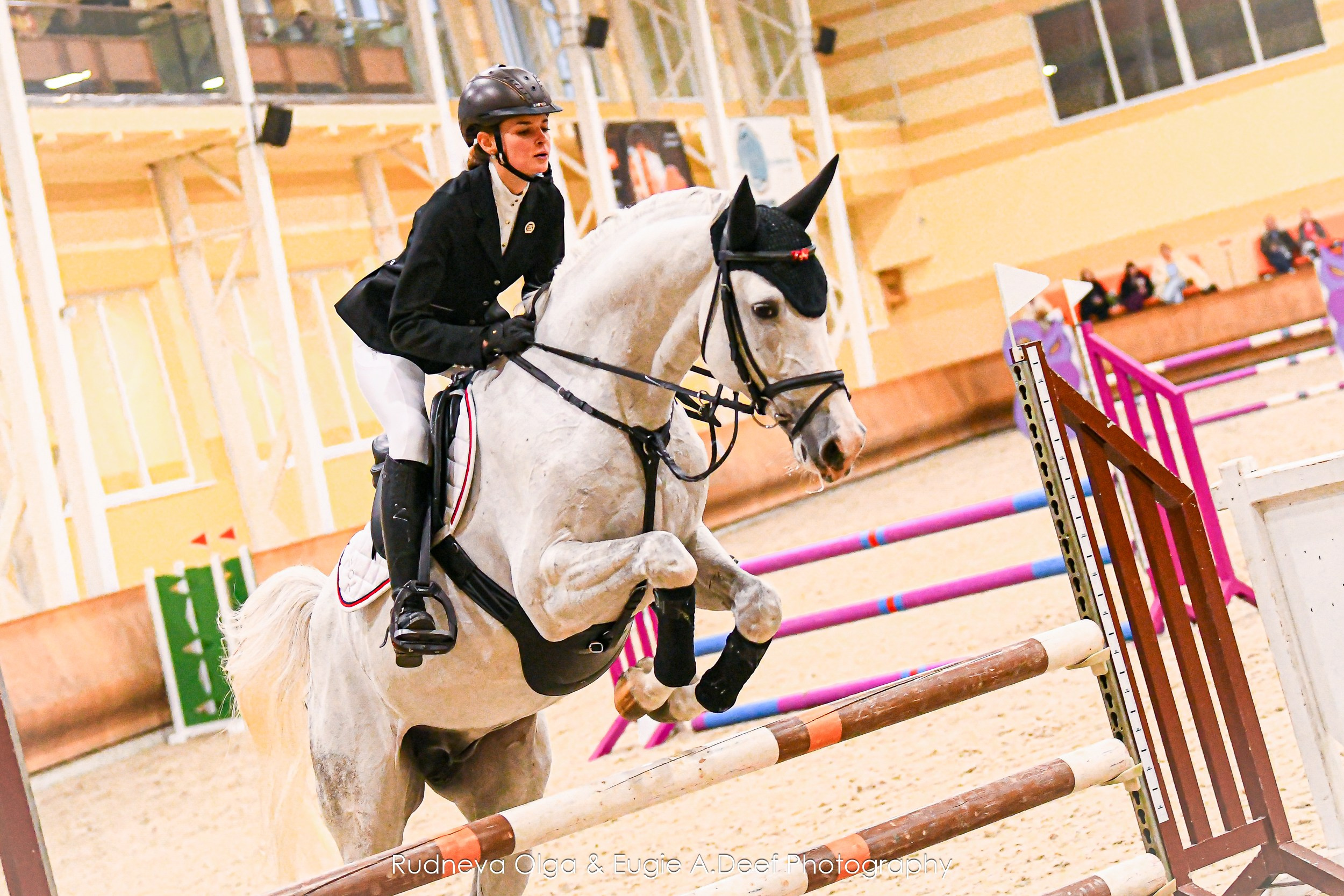 2024-11-16_Зимний Кубок КСК Дивный по конкуру в помещении. ТУРНИРНАЯ КОННАЯ ФОТОГРАФИЯ, Руднева Ольга и Евгений Адеев