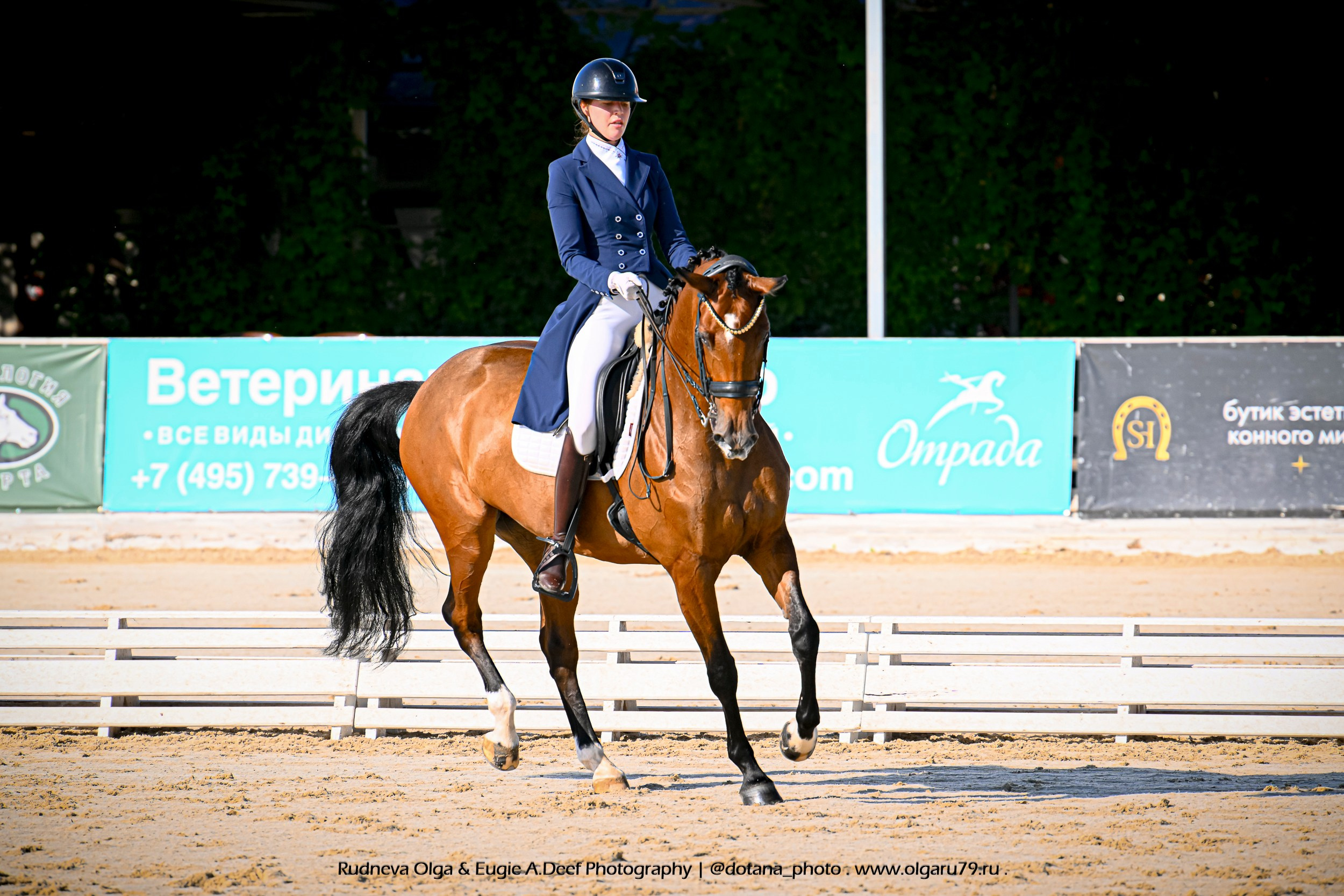 2025.08.29-31 + 09.05 — ВЫЕЗДКА В КСК ОТРАДА (ВСЕРОССИЙСКИЕ И МУНИЦ). ТУРНИРНАЯ КОННАЯ ФОТОГРАФИЯ, Руднева Ольга и Евгений Адеев