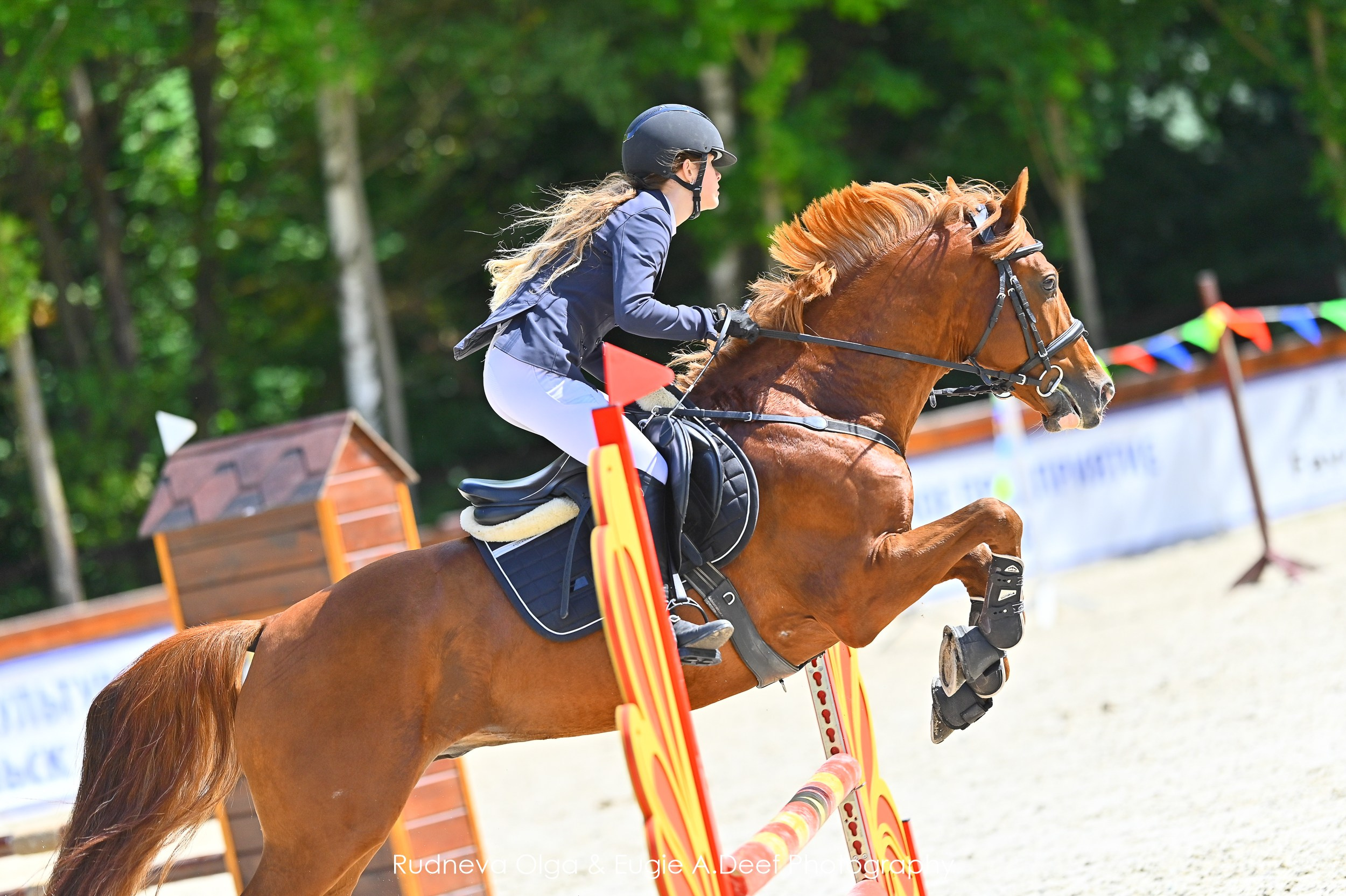 Услуги и Цены. ТУРНИРНАЯ КОННАЯ ФОТОГРАФИЯ, Руднева Ольга и Евгений Адеев