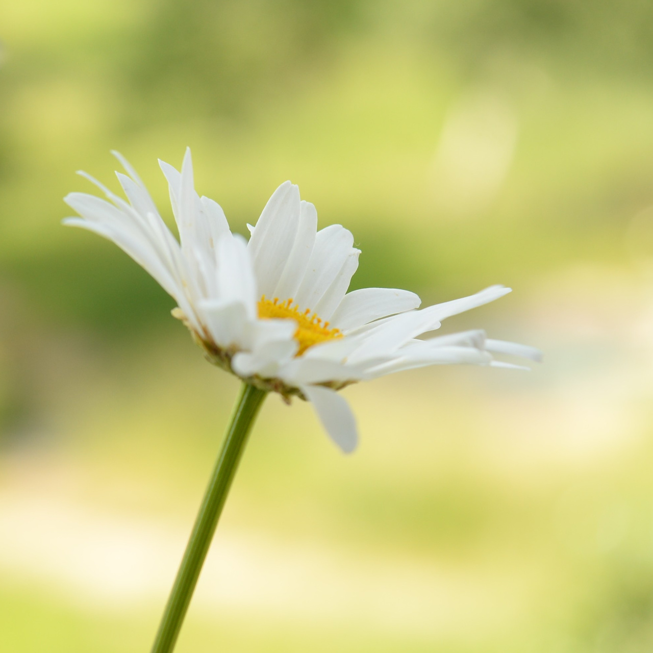 Контакты. Фотограф в Братске Алёна Мытникова