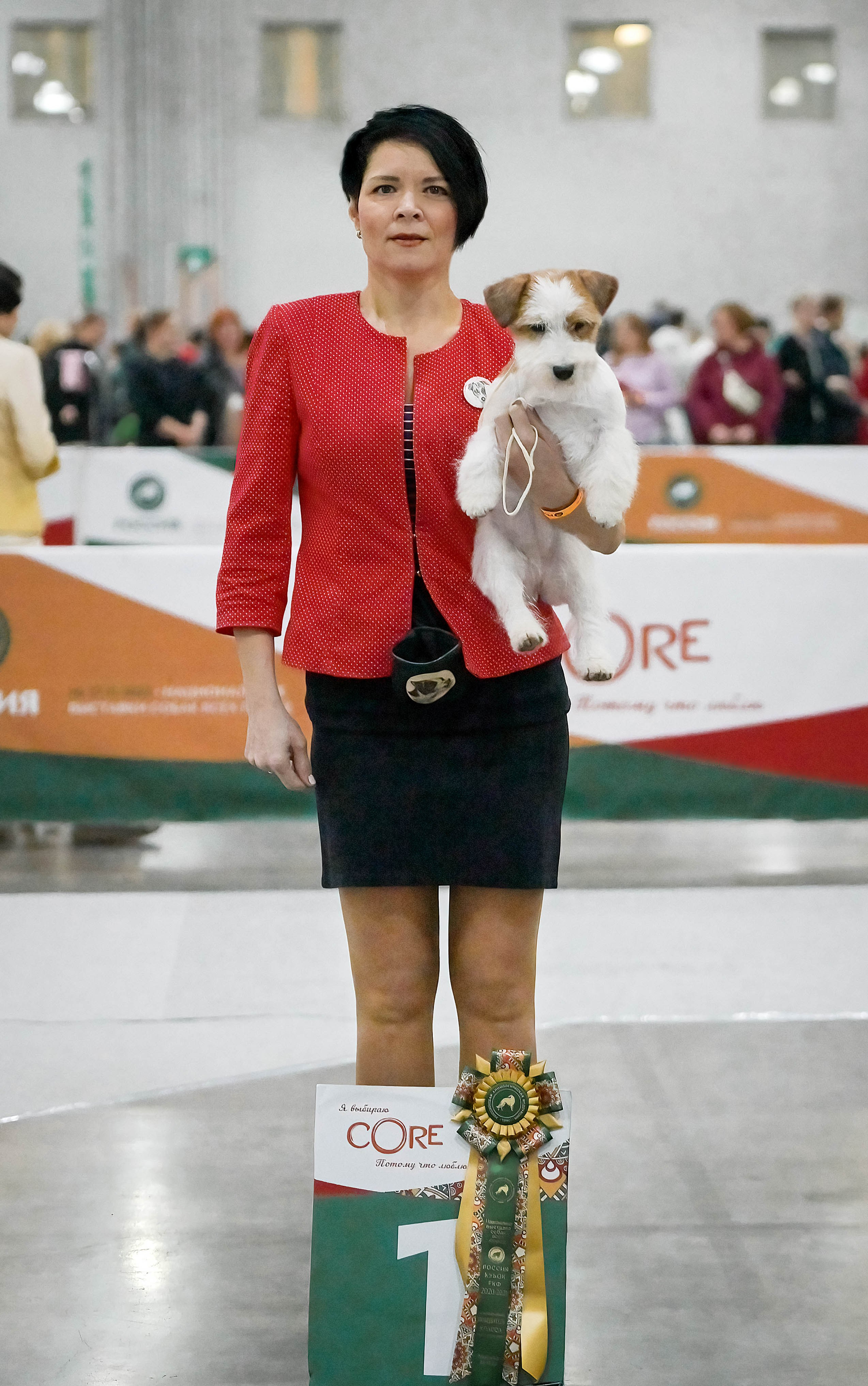 26/11/22 Russia RKF Cup 2020-2021 / 27/11/22 Russia RKF Cup & Moscow Cup 2022. CANE MAESTRO — kennel Jack Russell Terrier