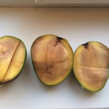 Теория чистого цвета