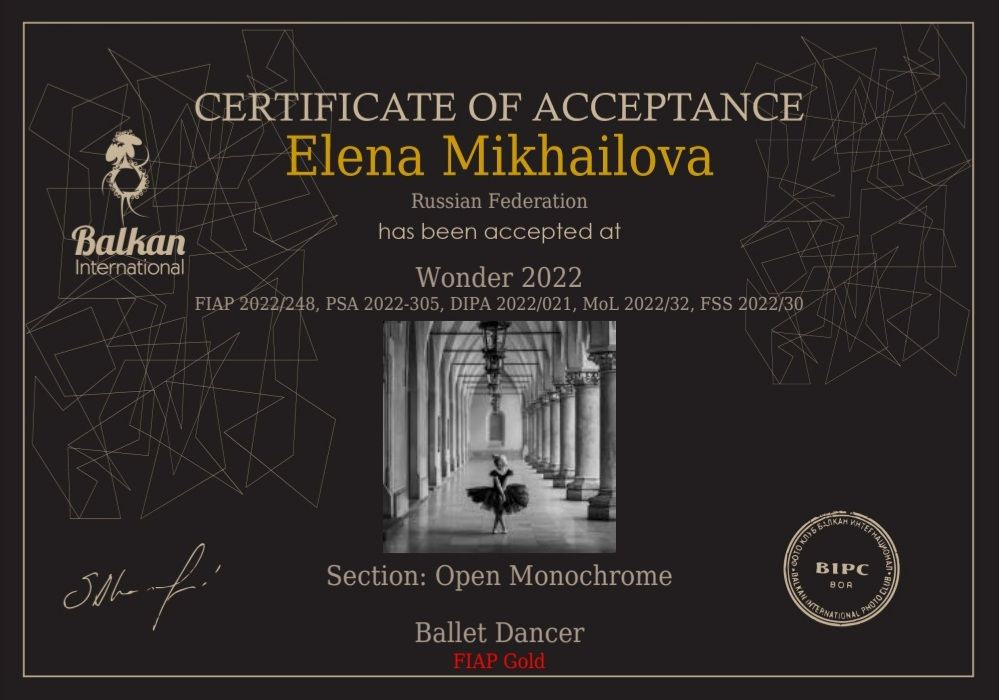 МОИ ДОСТИЖЕНИЯ. Детский и семейный фотограф Елена Михайлова в Москве