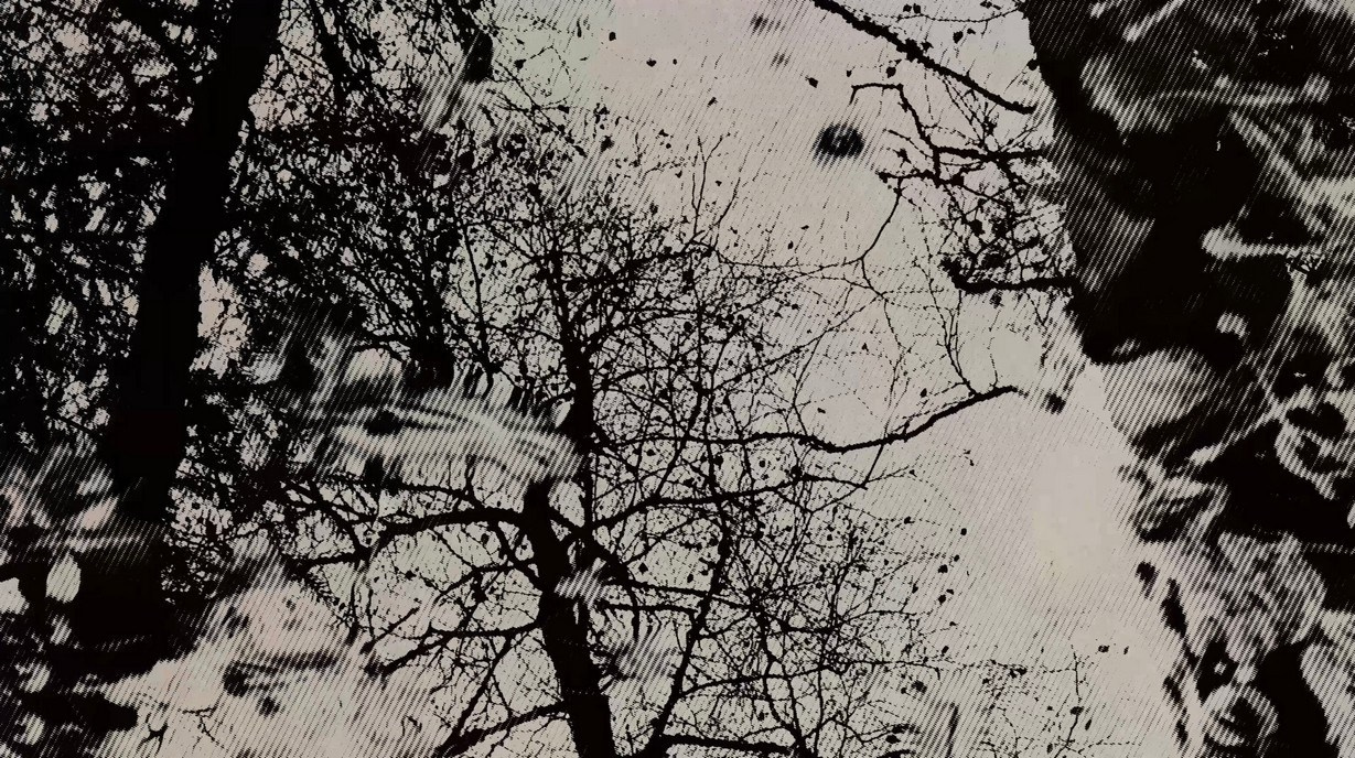 Когда лист падает. Visual artist