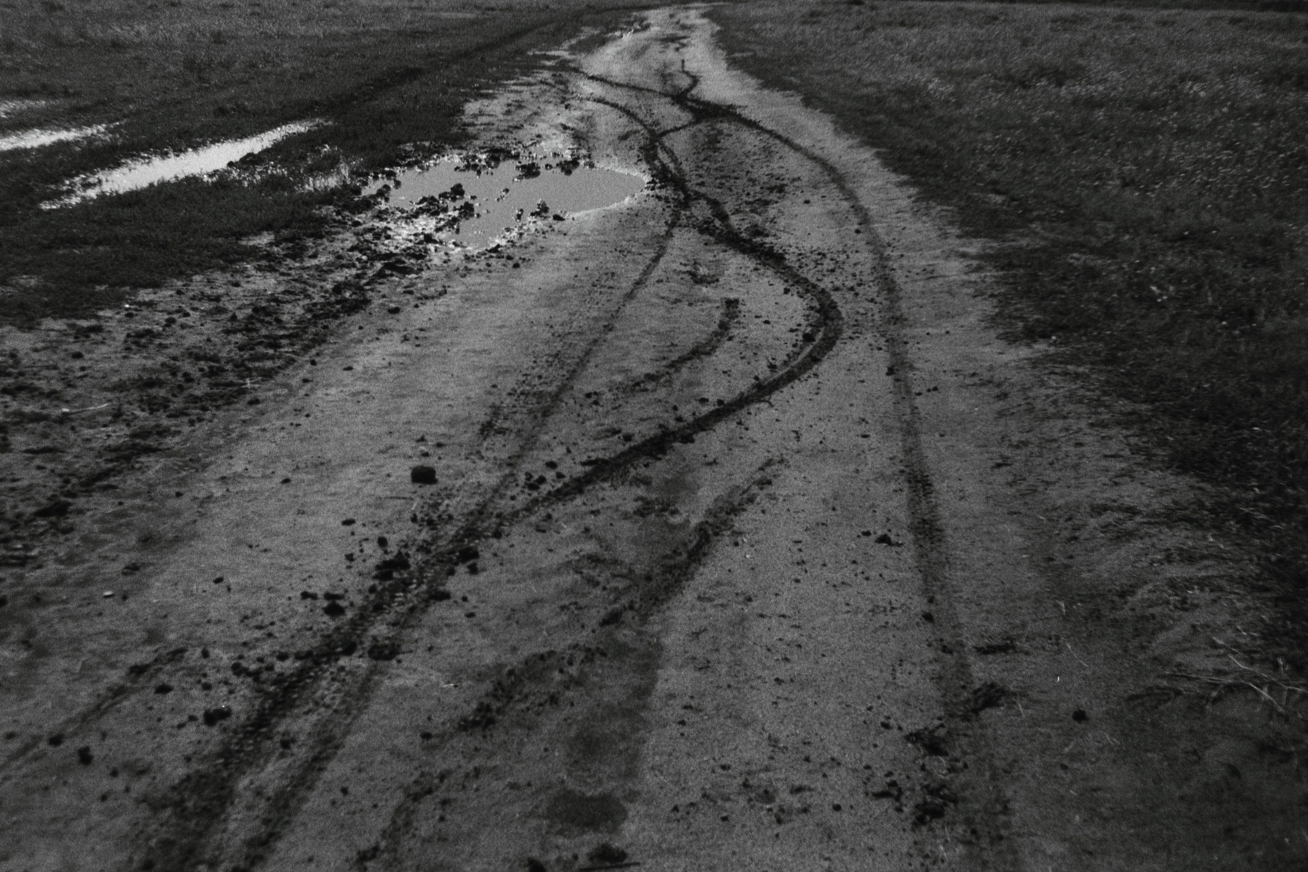 Сибирский путь. Julia Altukhova, multimedia artist