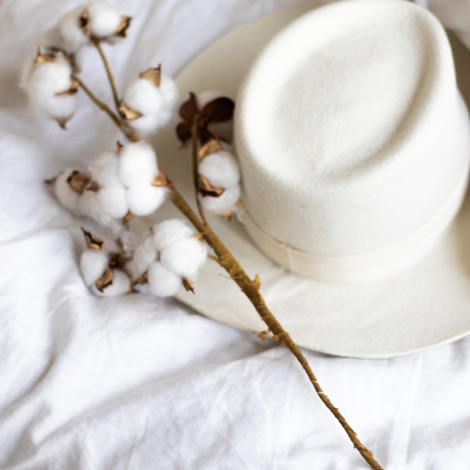 Фотографирую Love story, а также женский портрет в Москве