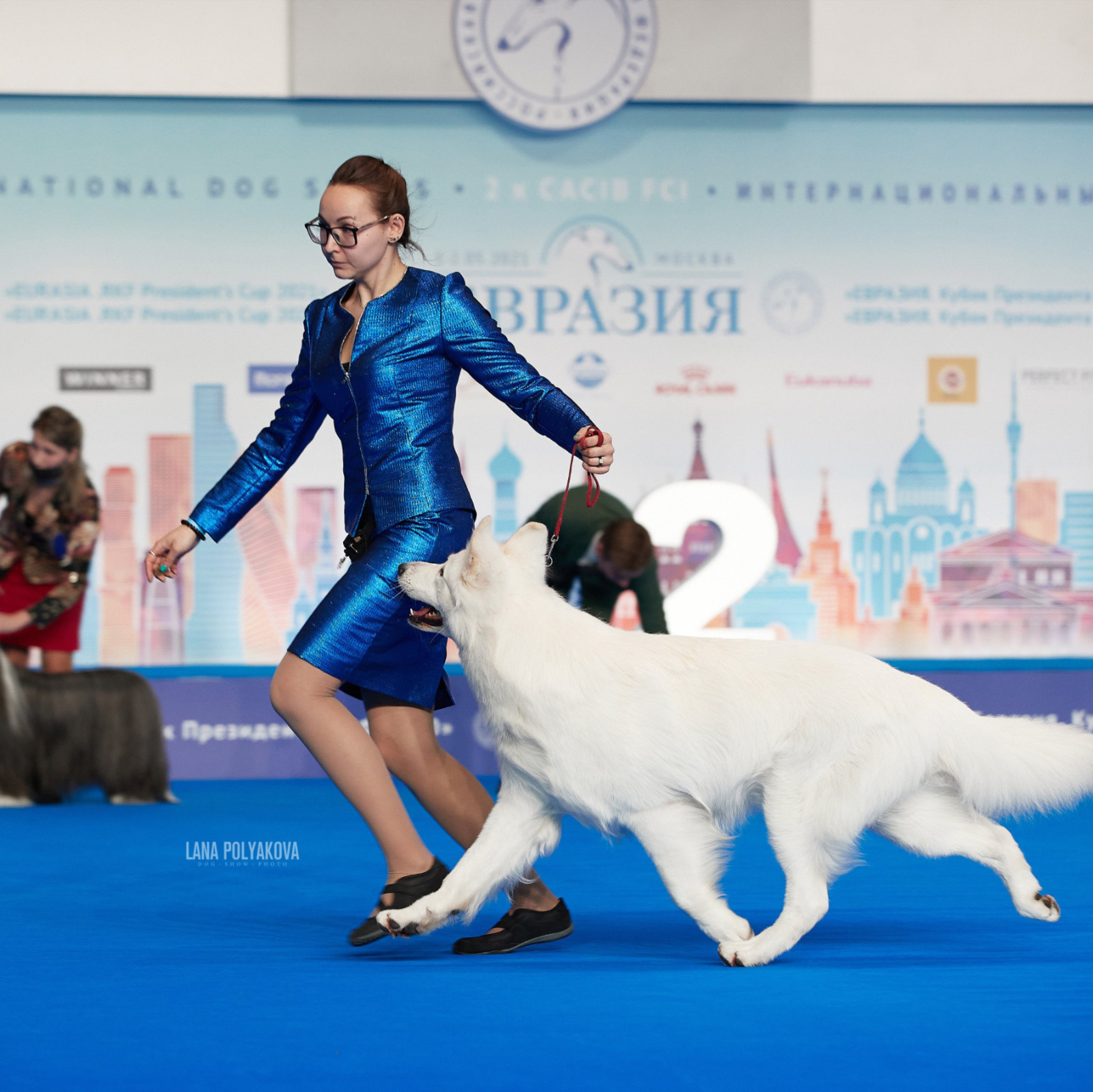 БИОГРАФИЯ. ФОТОГРАФ-АНИМАЛИСТ l LANA POLYAKOVA