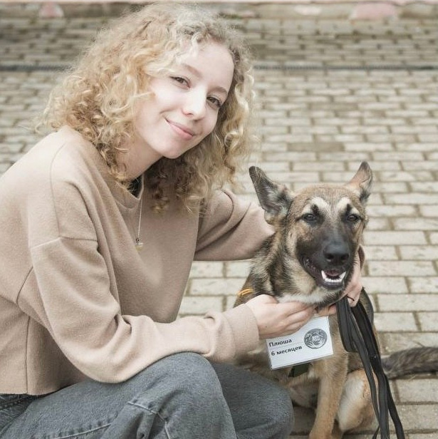 О нас. Забери домой друга