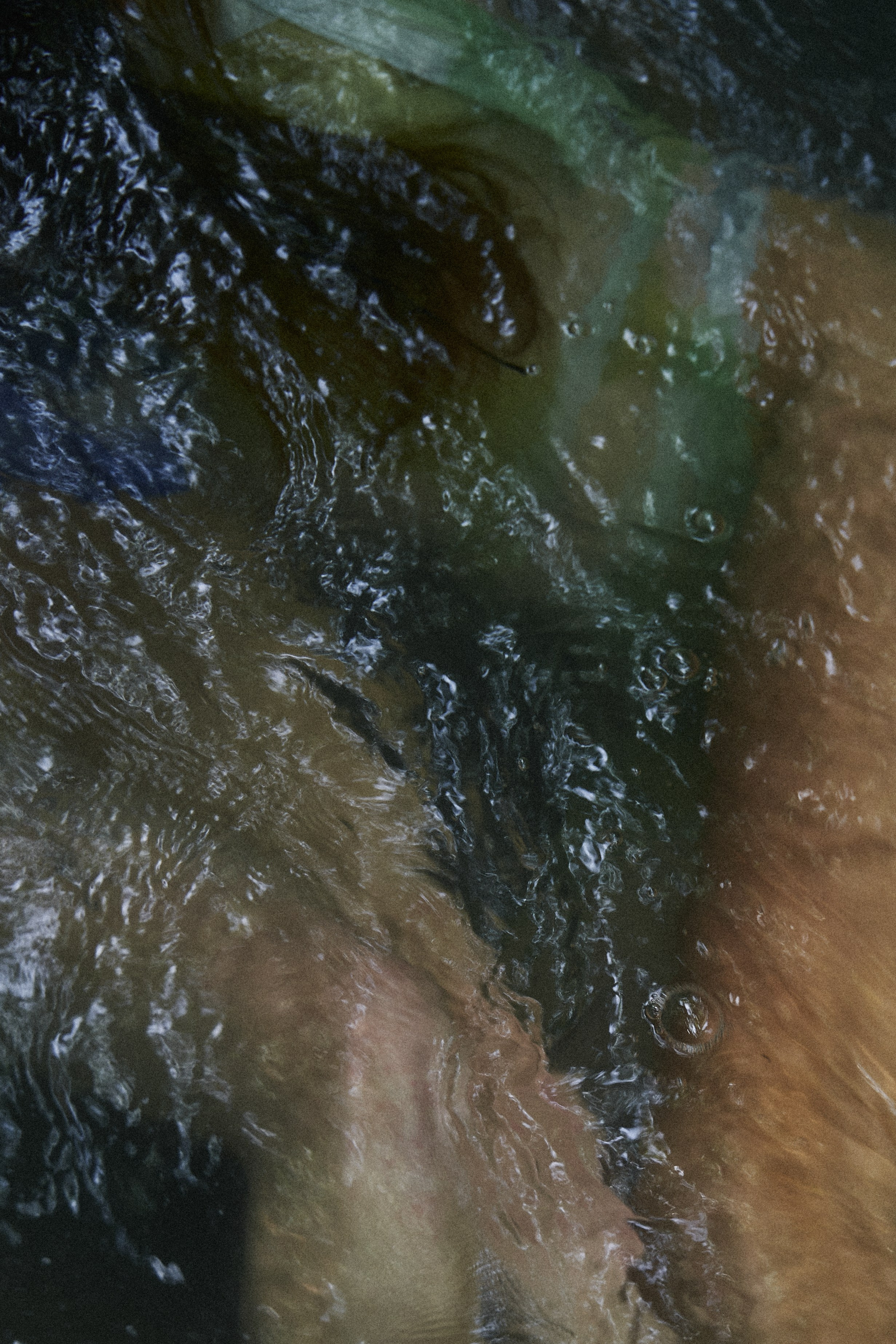 Oasis. Главная