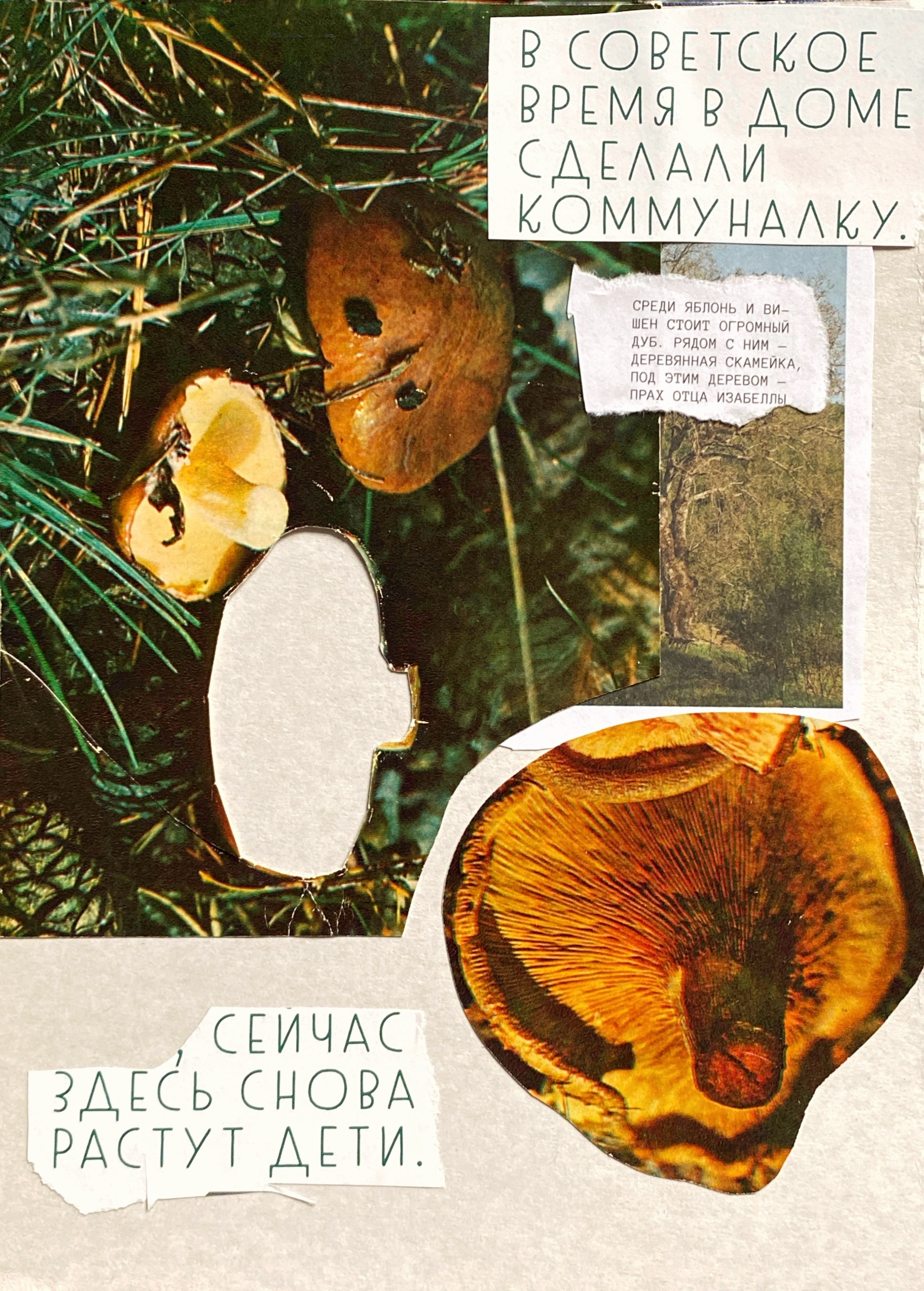 Shop. Мультидисциплинарная художница