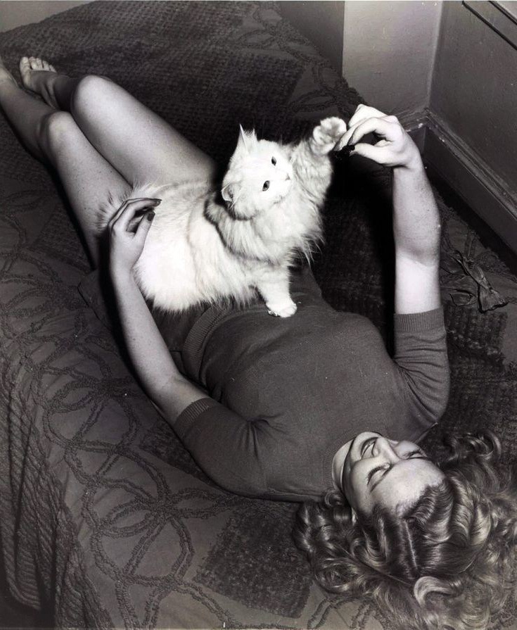 Мерлин Монро. Фотограф анималист в Санкт-Петербурге Таша Крейв