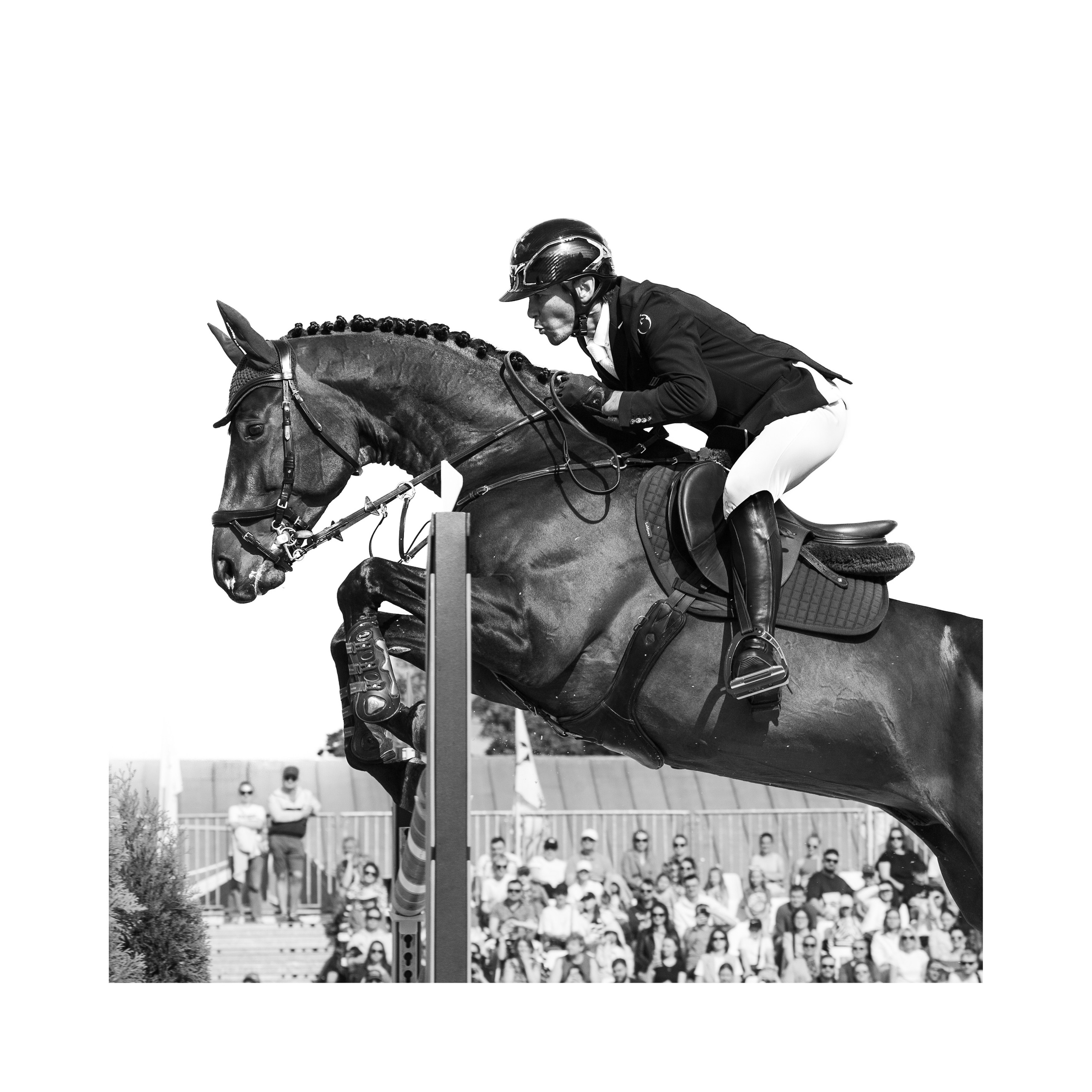 Прайс. Конный фотограф Дарья Полянина