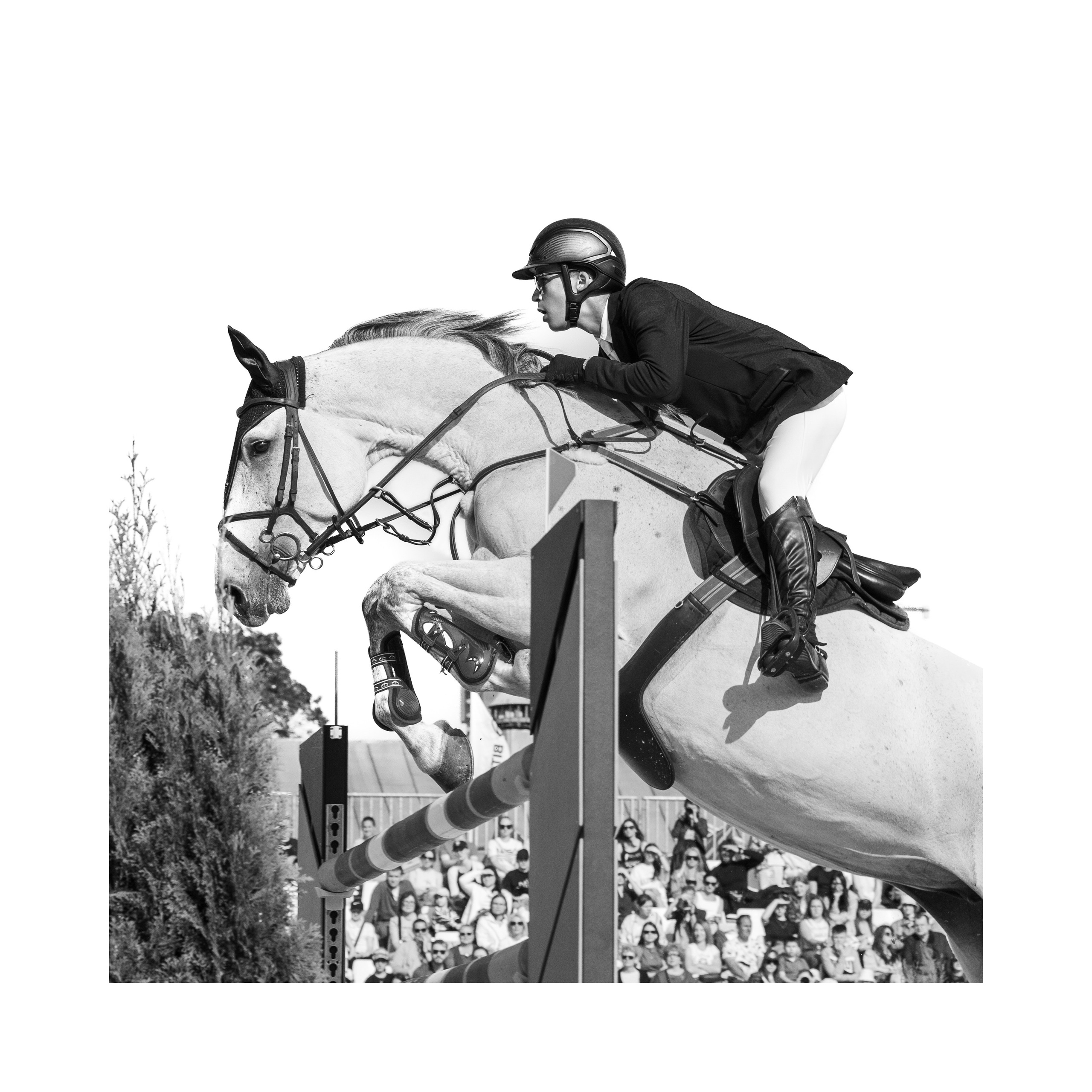 Прайс. Конный фотограф Дарья Полянина