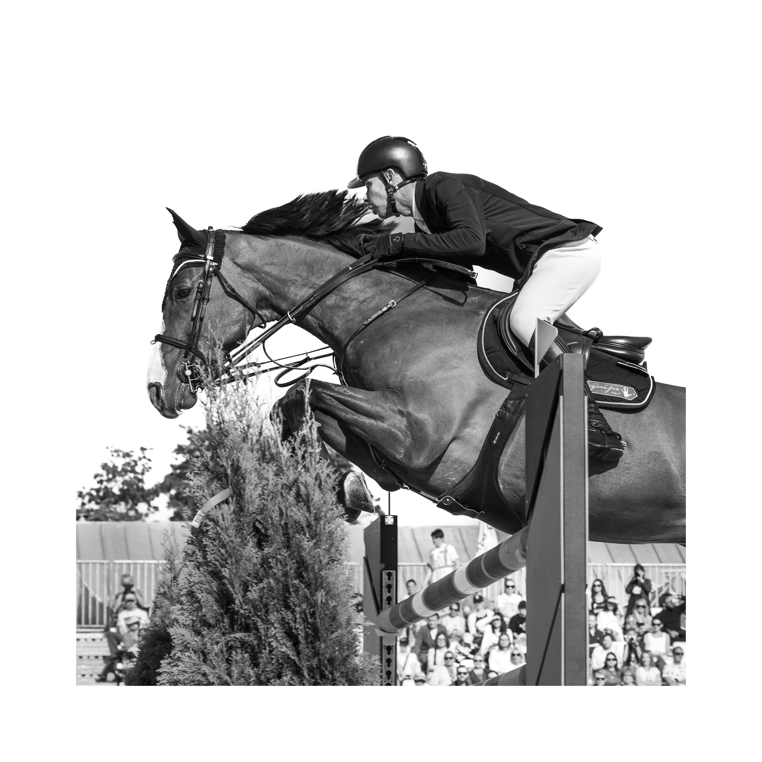 Прайс. Конный фотограф Дарья Полянина